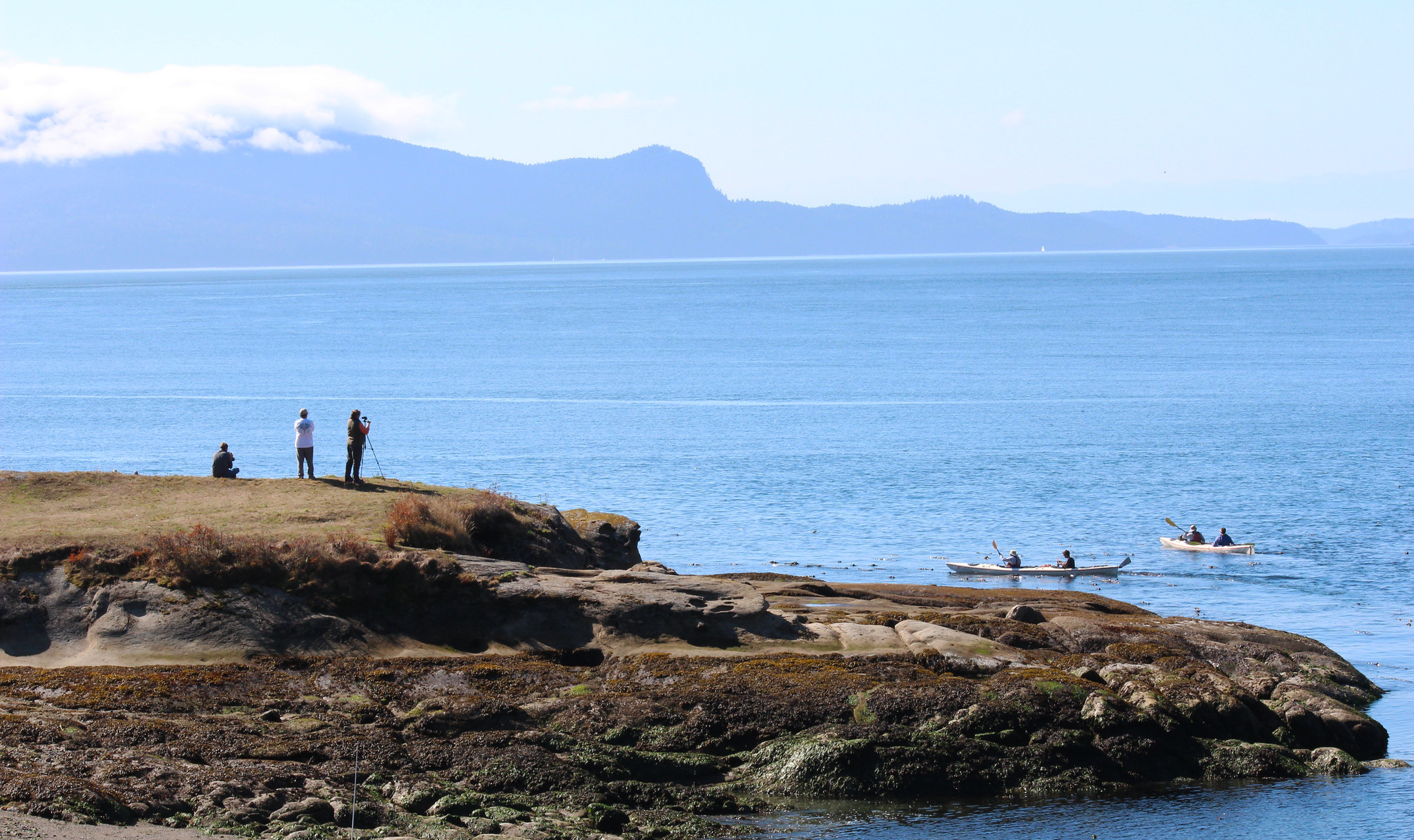 Patos Island photo 2