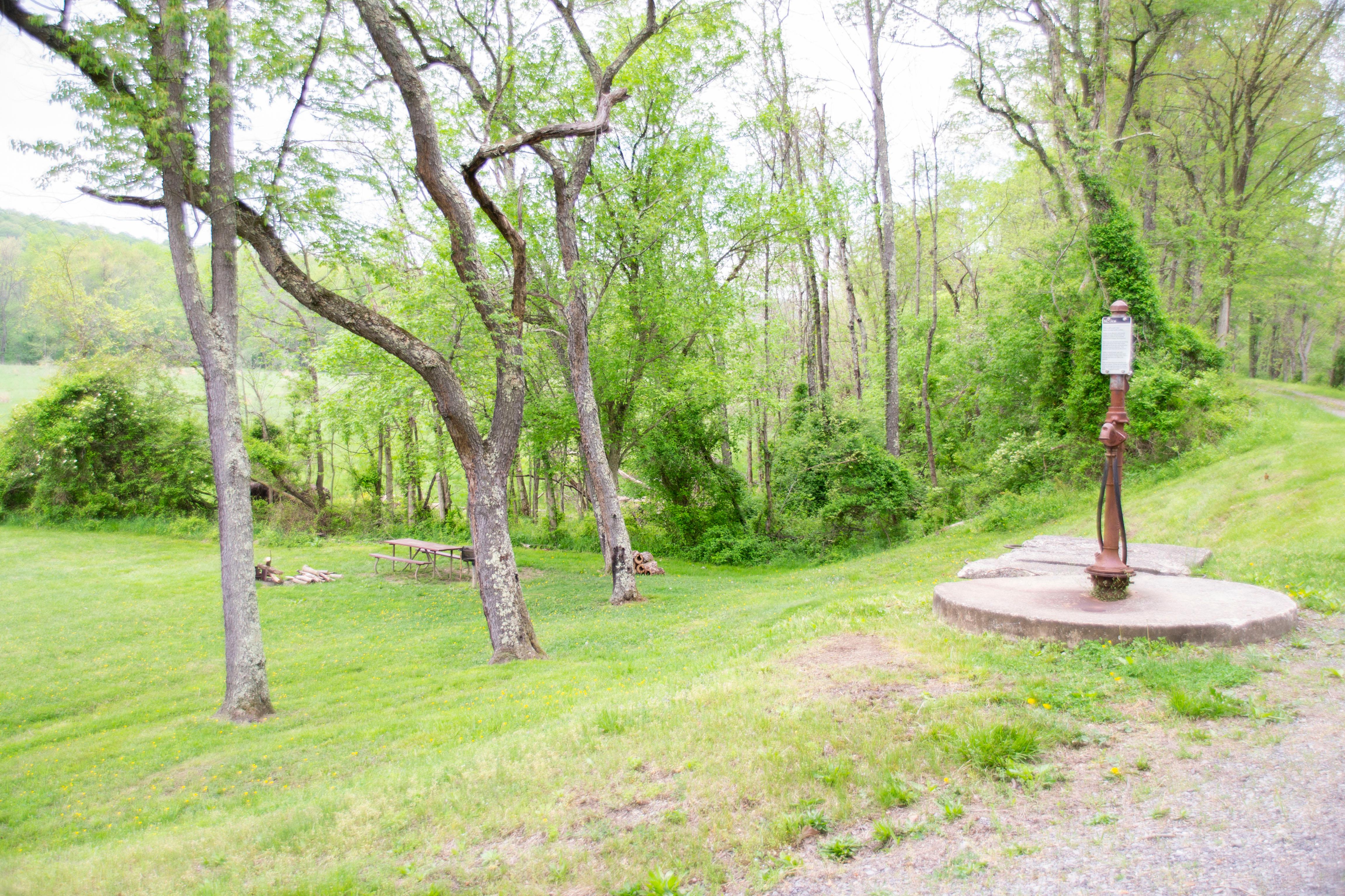 Pigmans Ferry Hiker-Biker Campsite photo