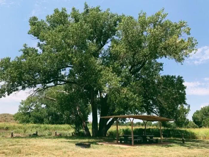 Plum Creek Campgrounds photo