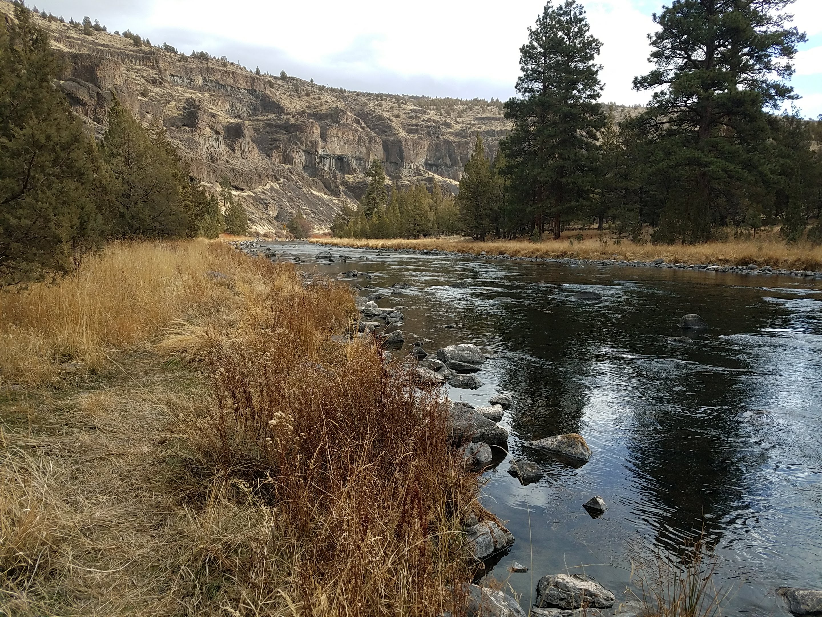 Poison Butte Campground photo