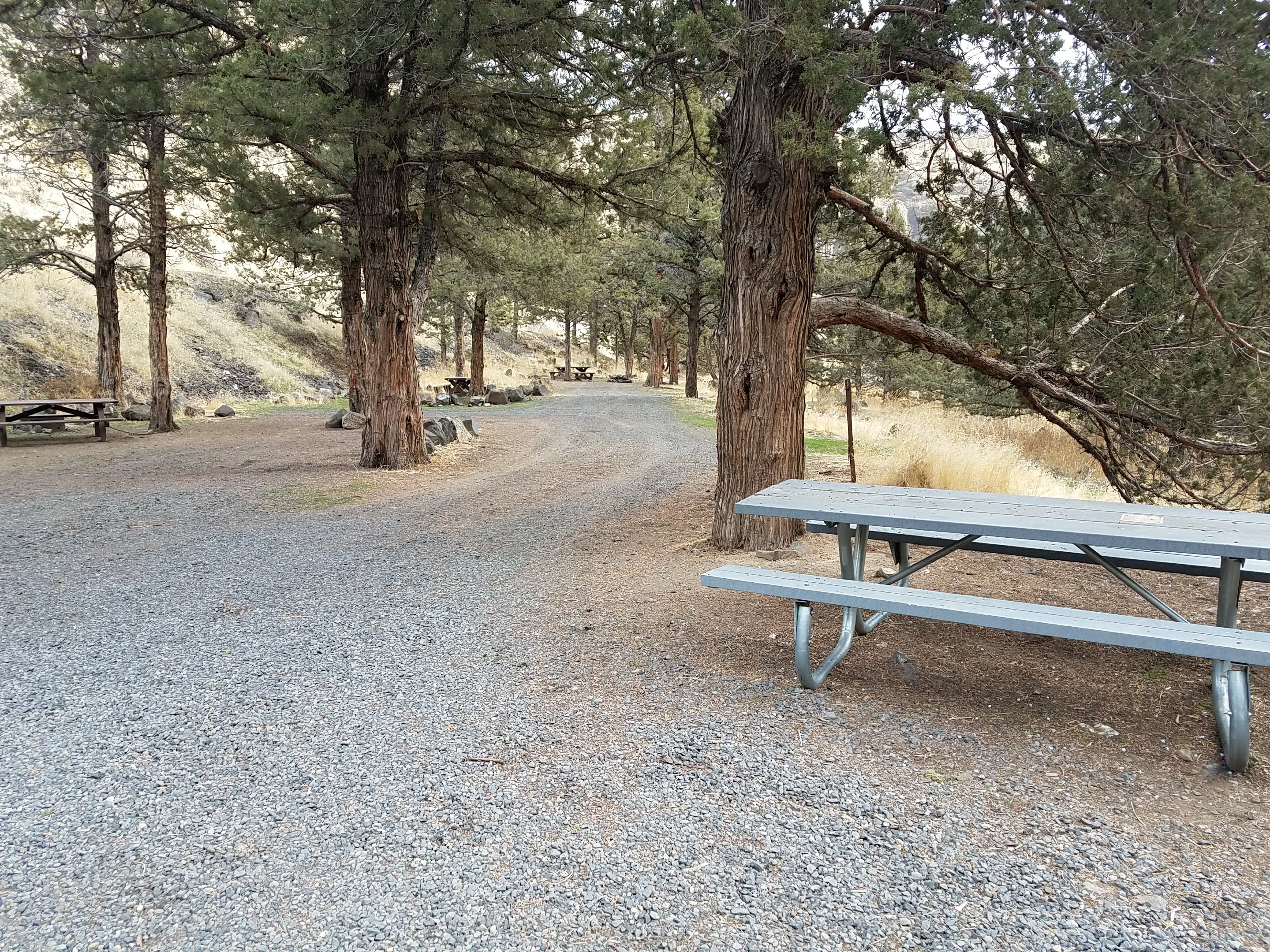 Poison Butte Campground photo 2