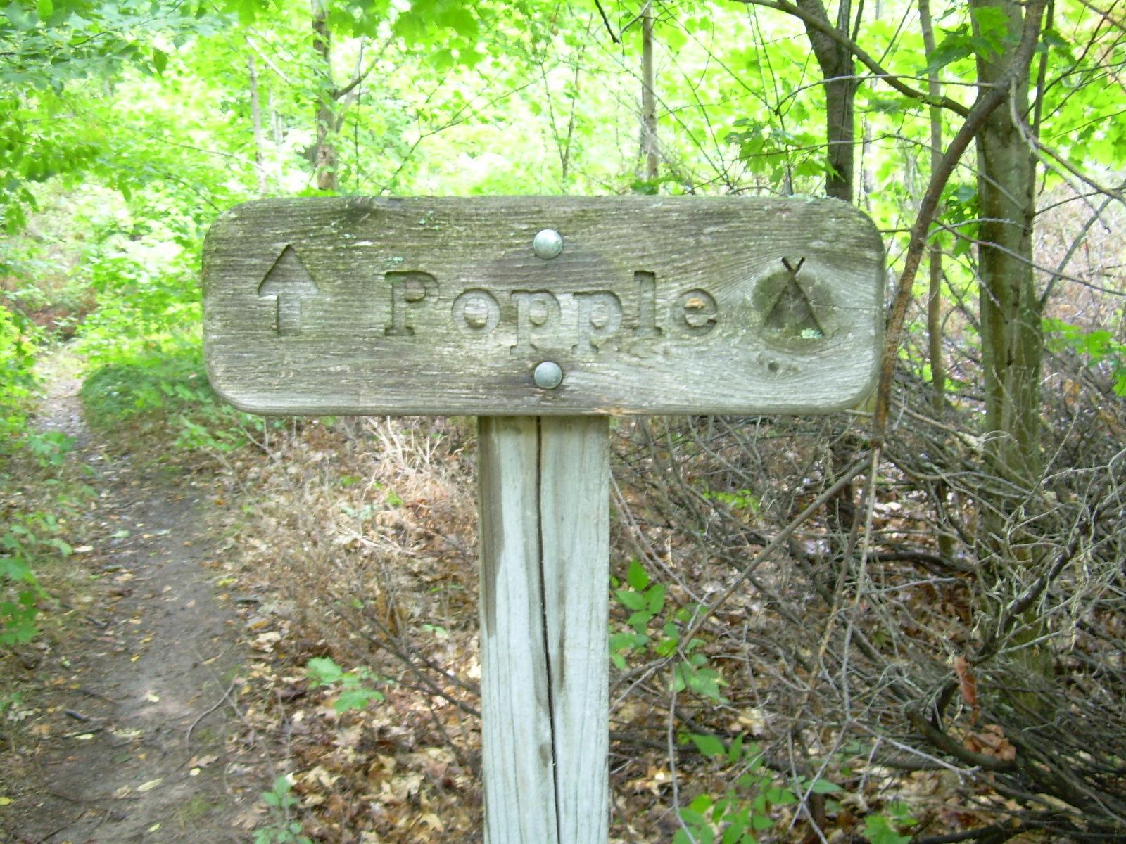 Popple Campground - South Manitou Island photo