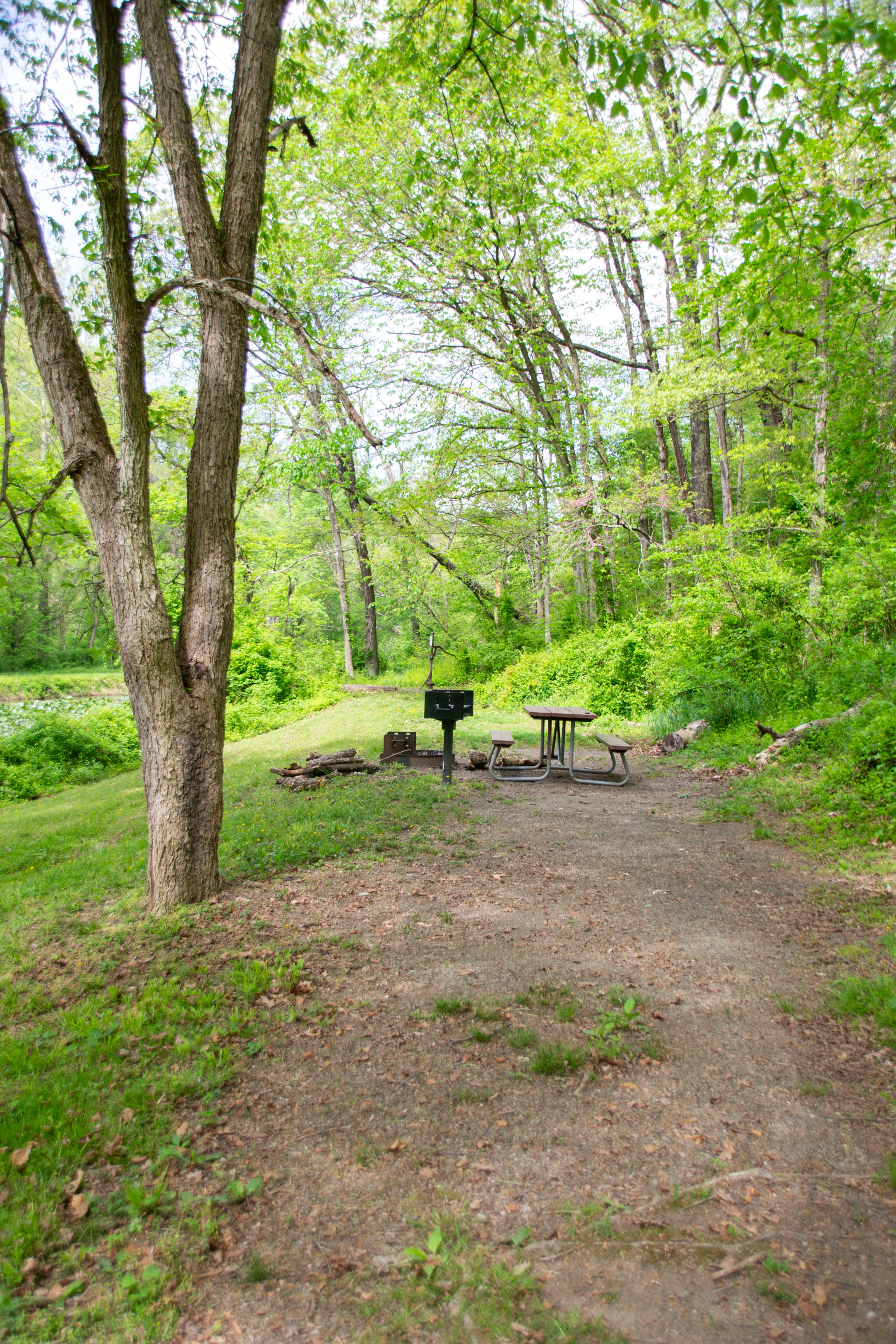 Potomac Forks Hiker-Biker Campsite photo