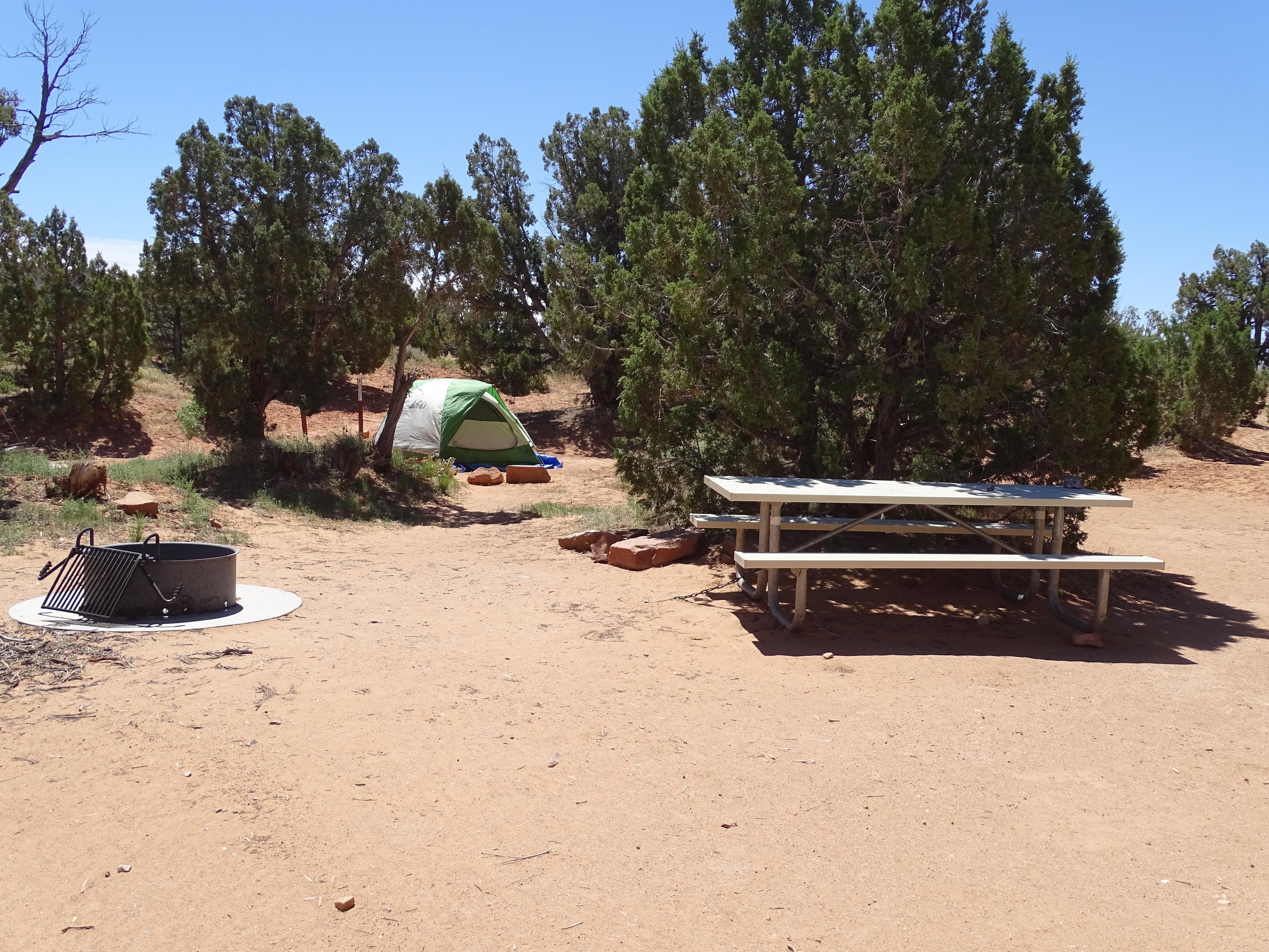 Primitive campsites at Cedar Mesa Campground photo