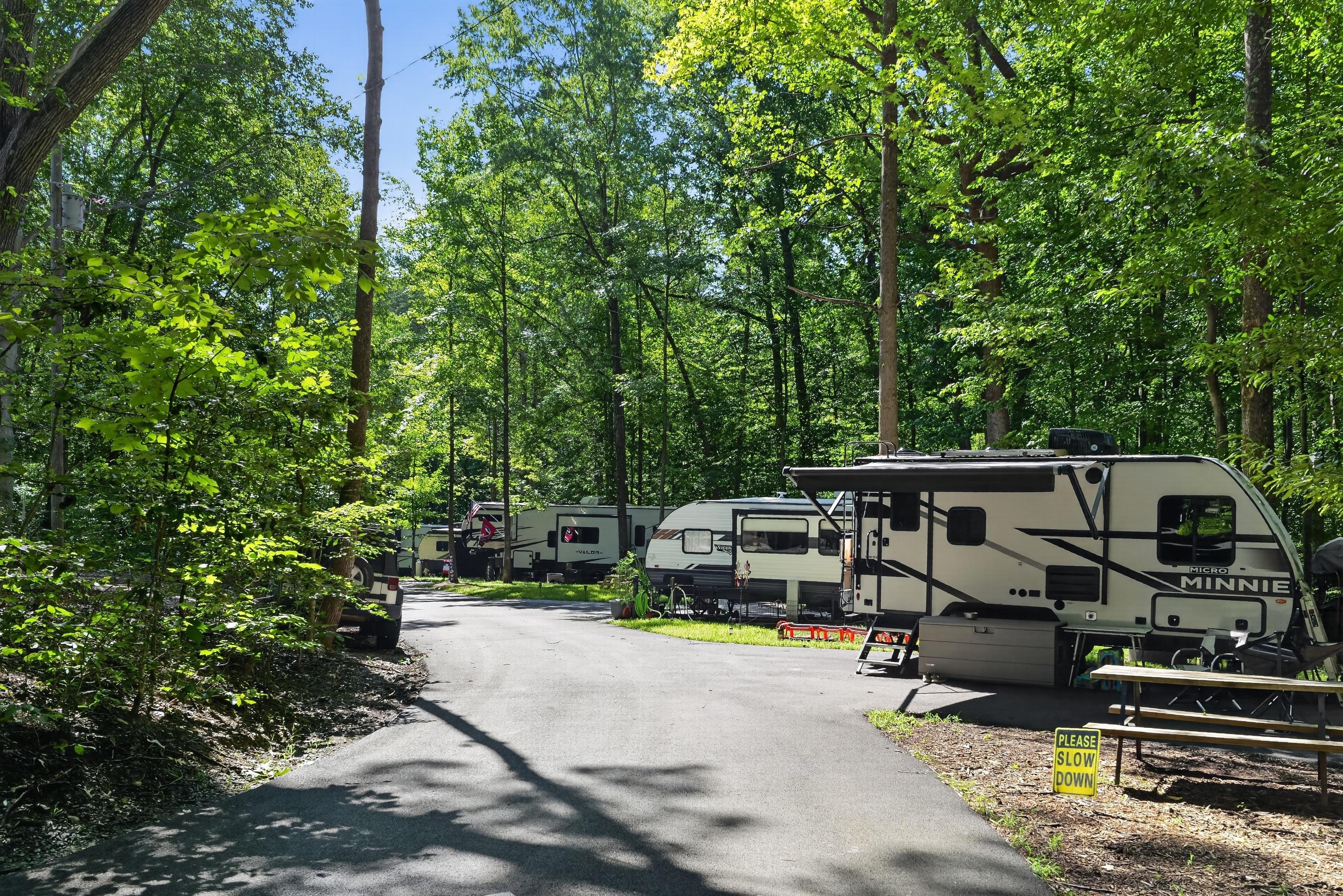 Prince William Forest RV Campground photo 2