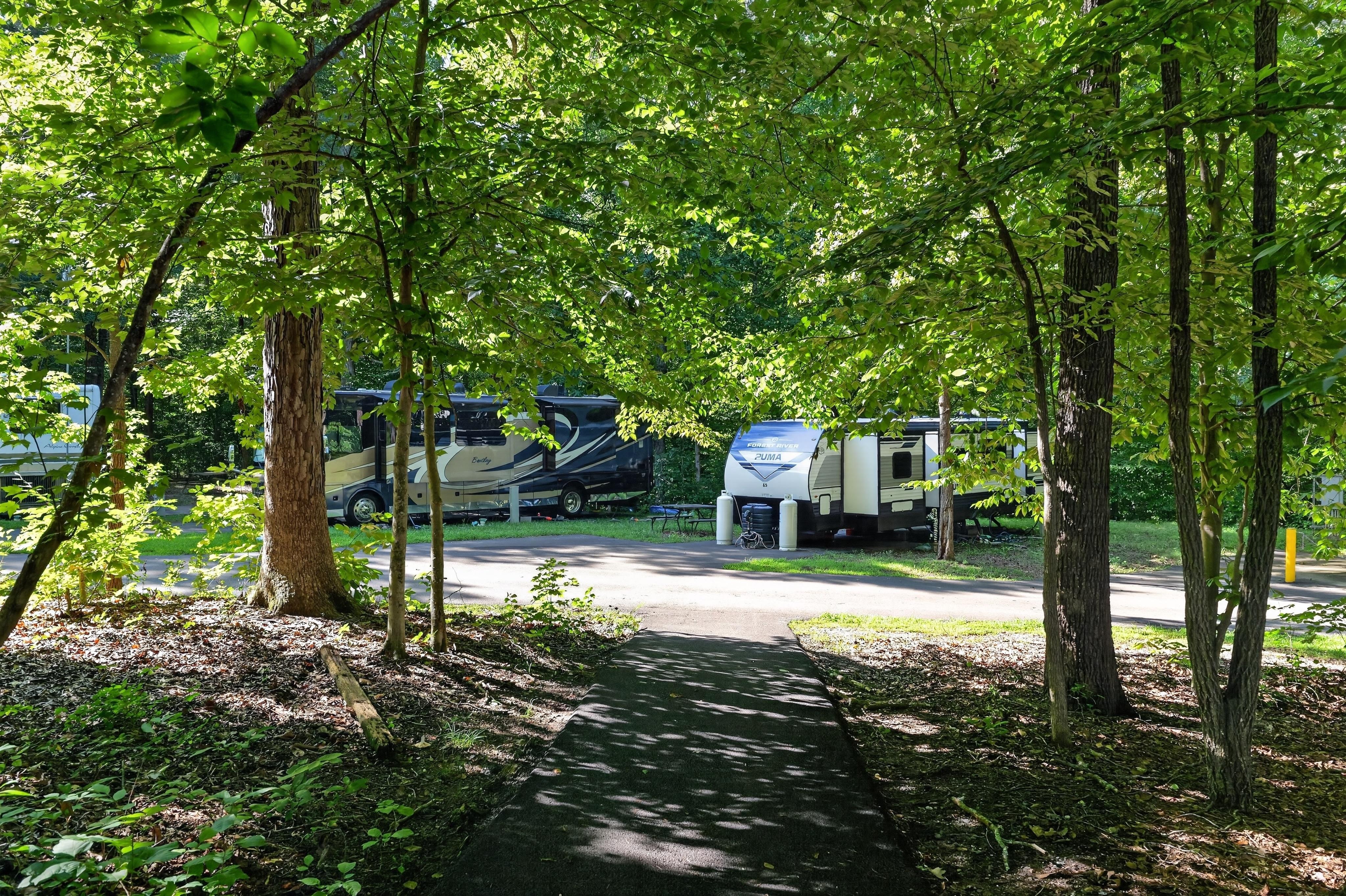Prince William Forest RV Campground photo 4