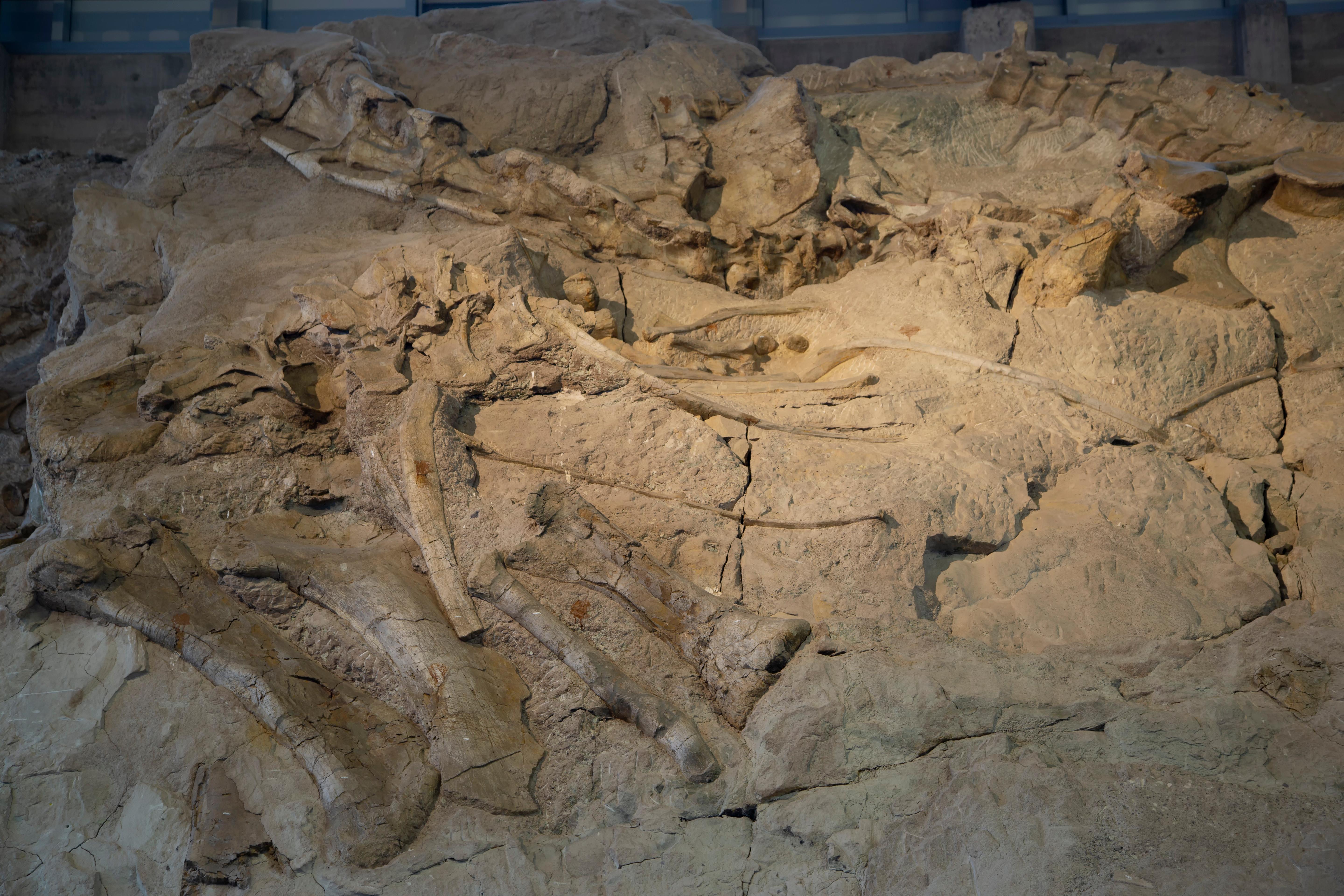 Quarry Exhibit Hall - Utah photo 2