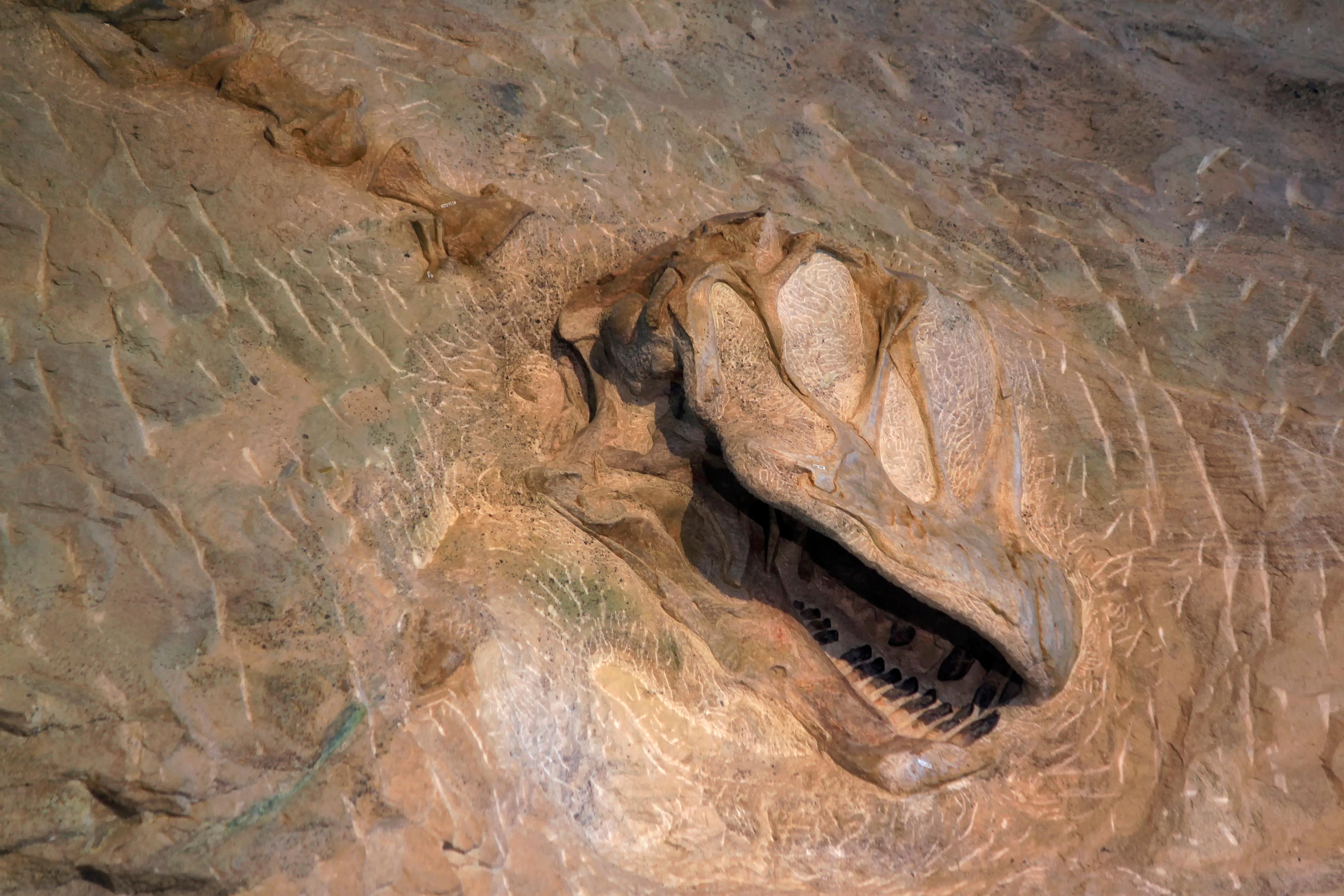 Quarry Exhibit Hall - Utah photo 4