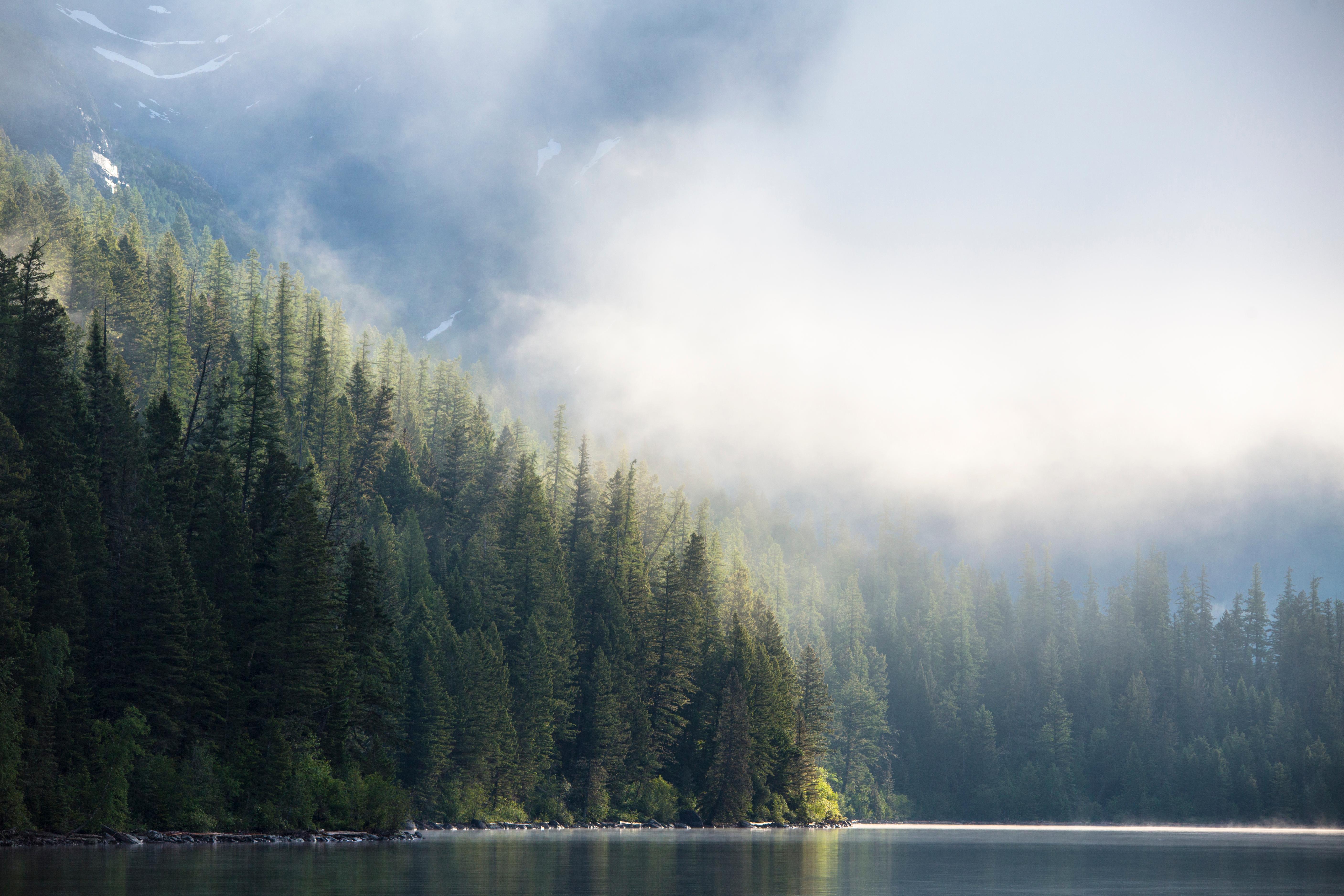 Quartz Creek photo