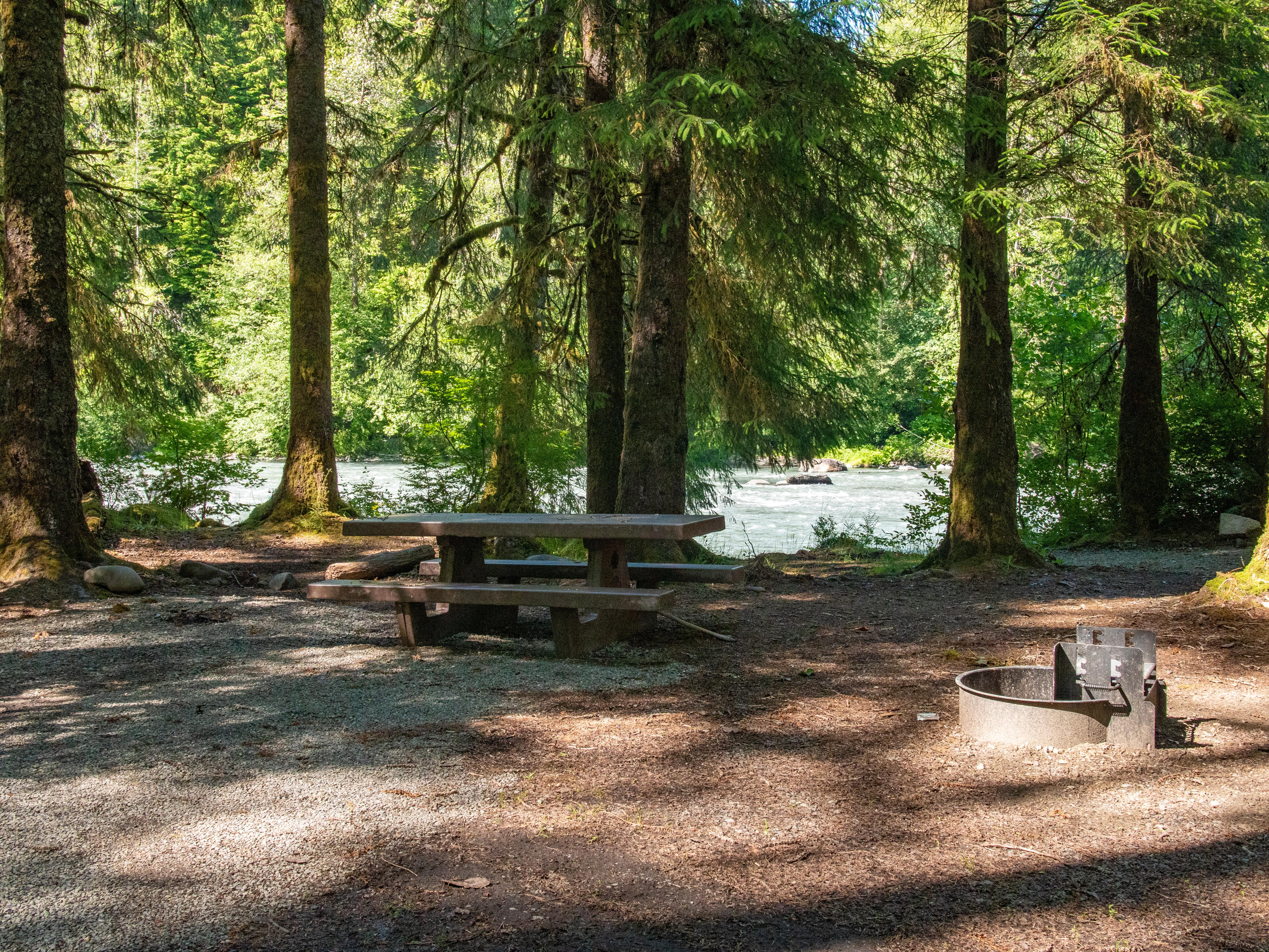 Queets Campground photo
