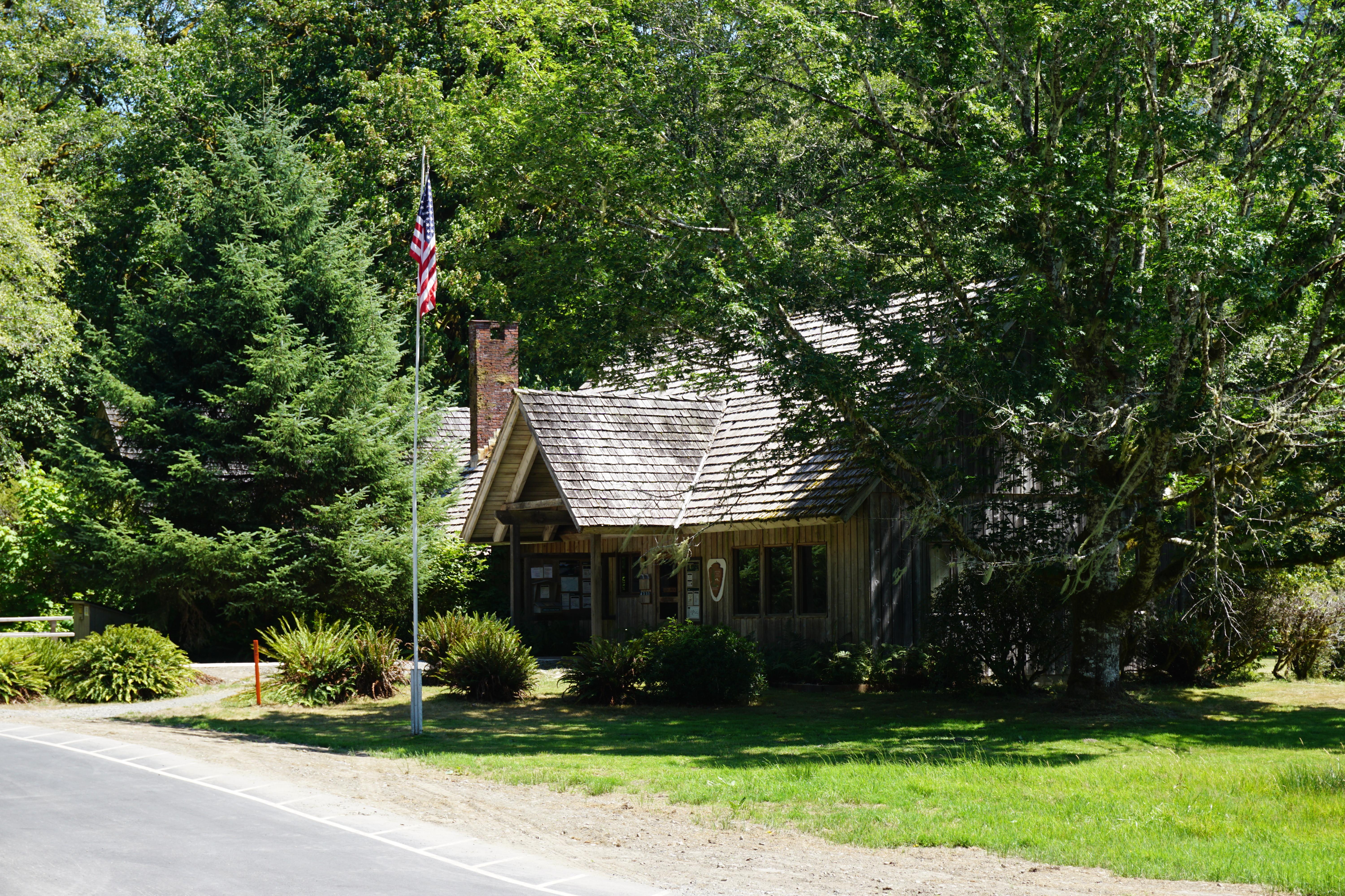Quinault Rain Forest Ranger Station photo