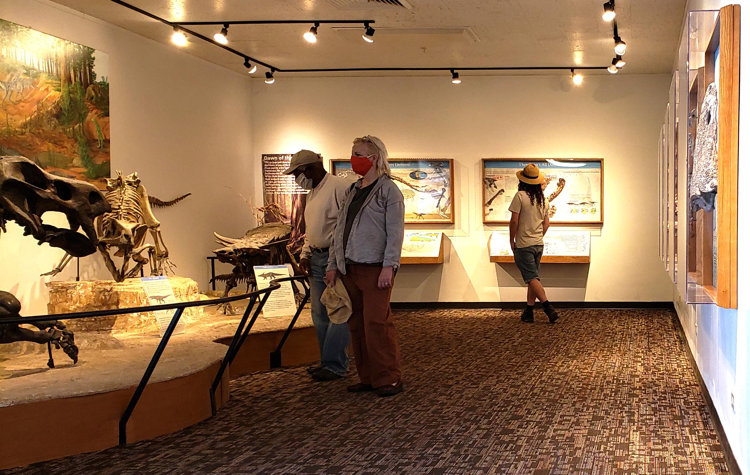Rainbow Forest Museum photo 2