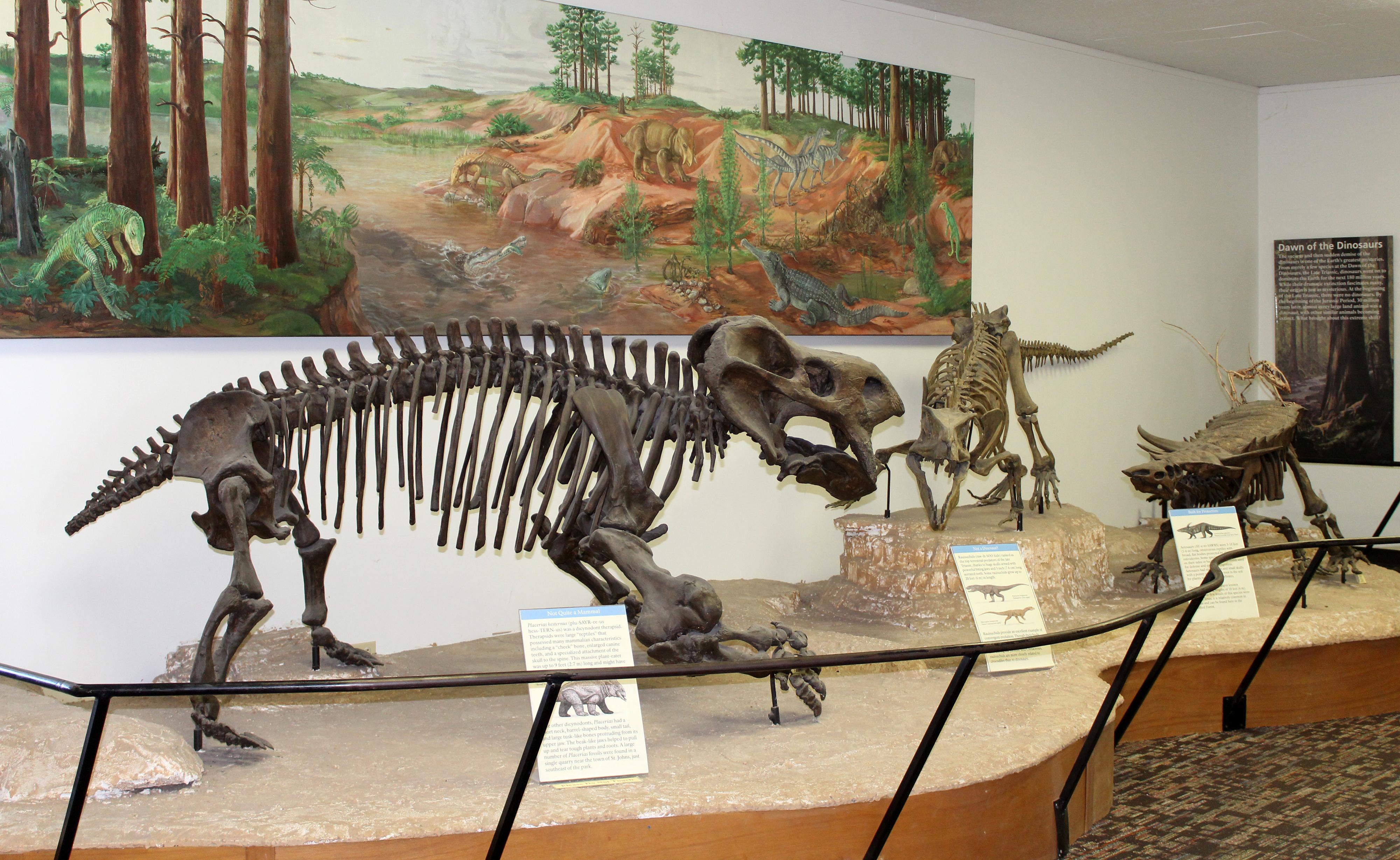 Rainbow Forest Museum photo 3