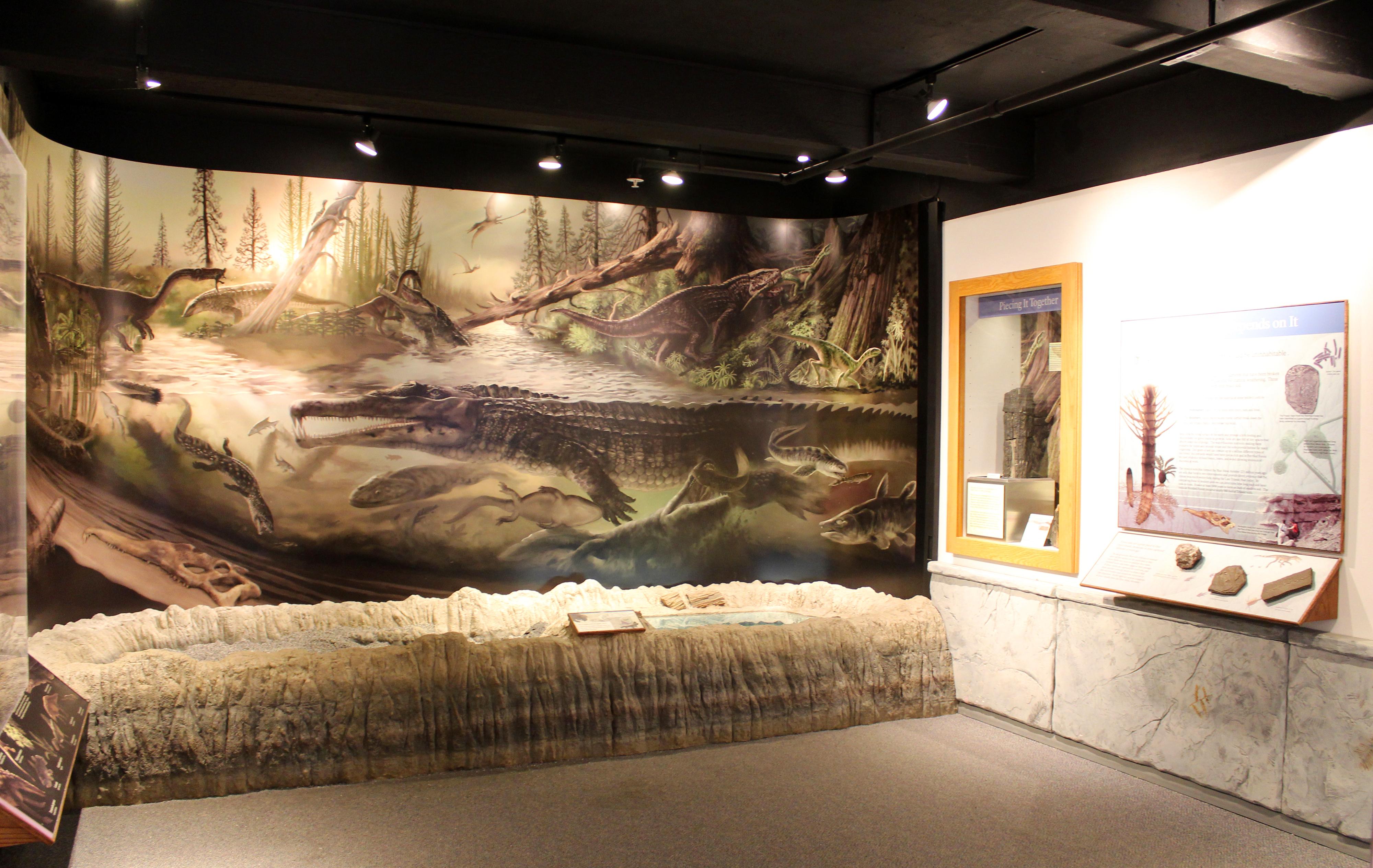 Rainbow Forest Museum photo 5