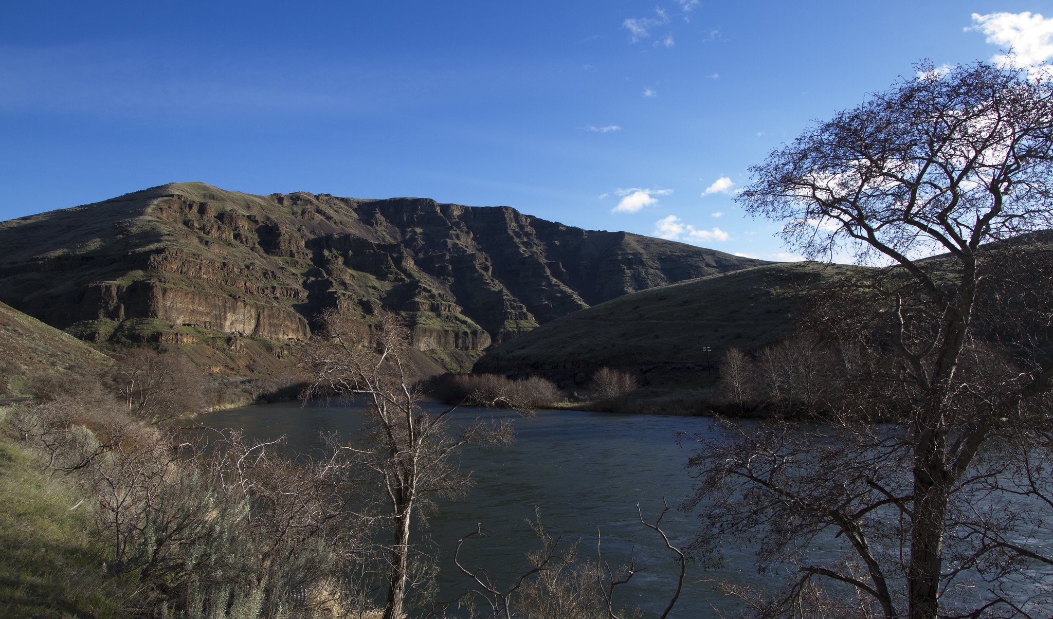 Rattlesnake Canyon Campground photo 4