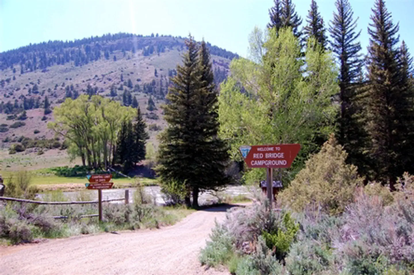 Red Bridge Campground photo 3