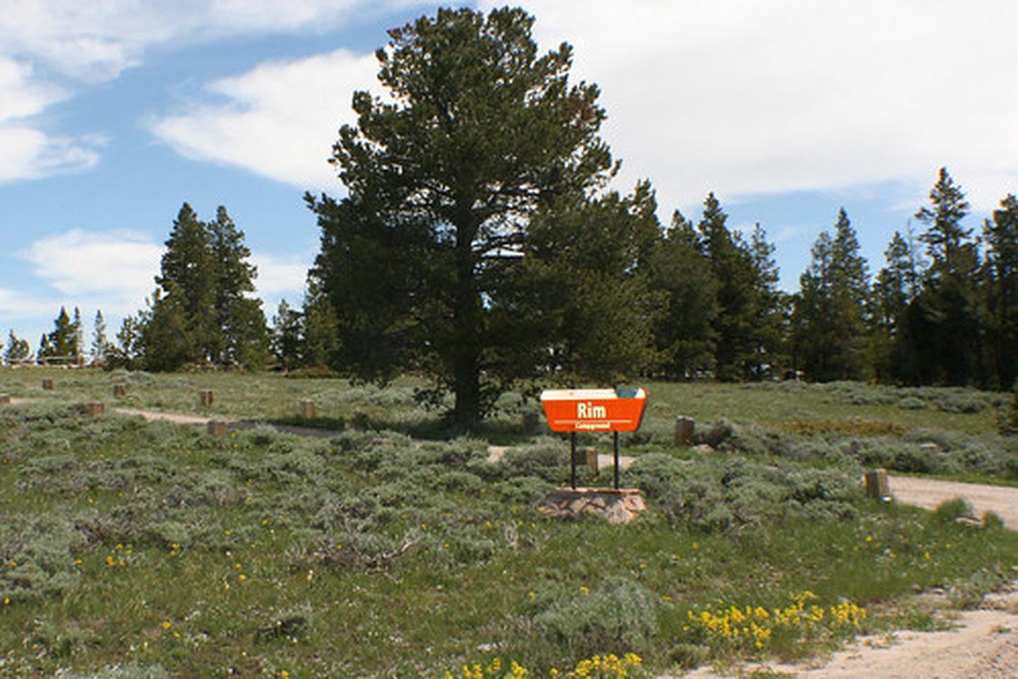 Rim Campground photo