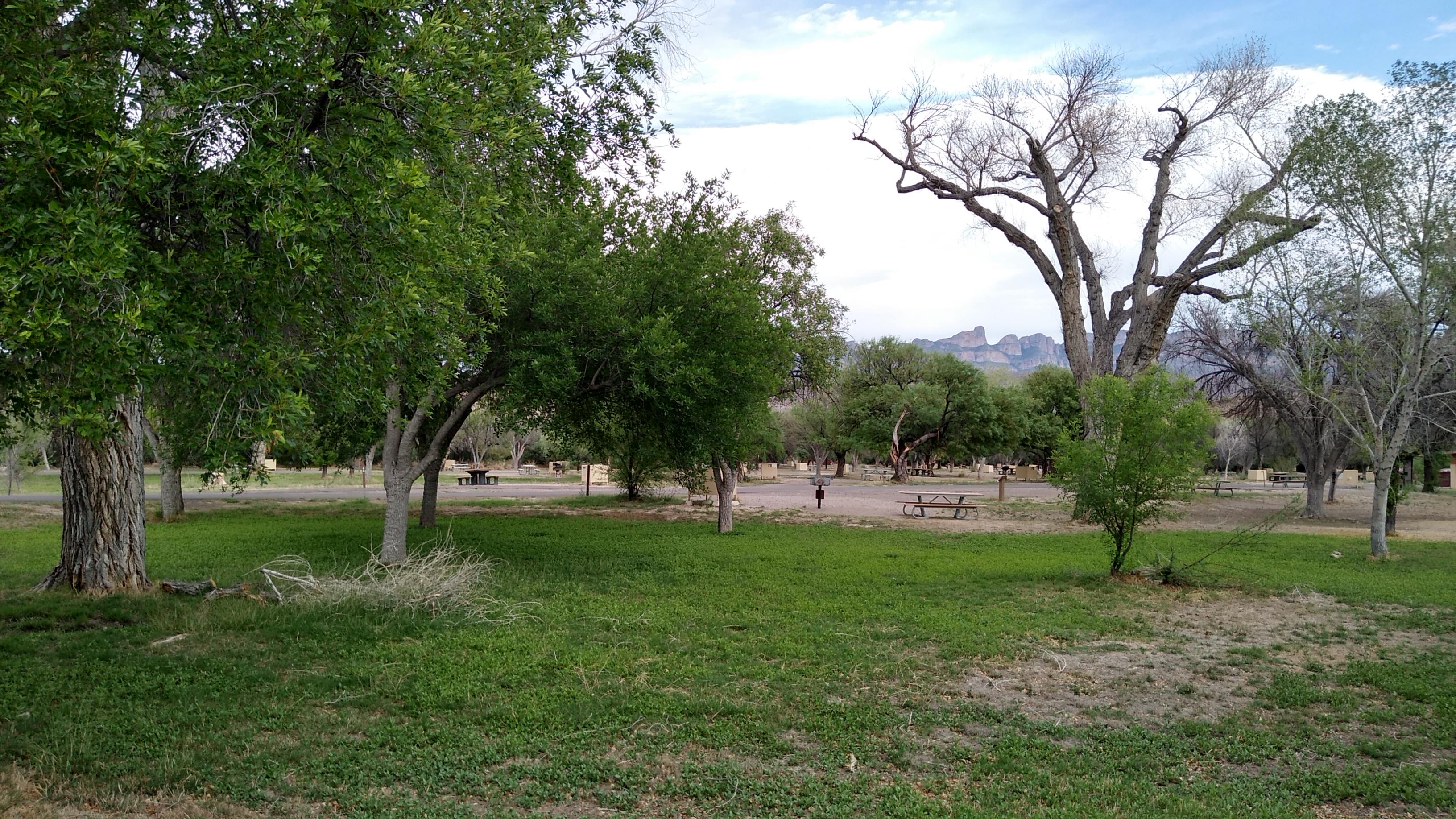 Rio Grande Village Visitor Center photo 4