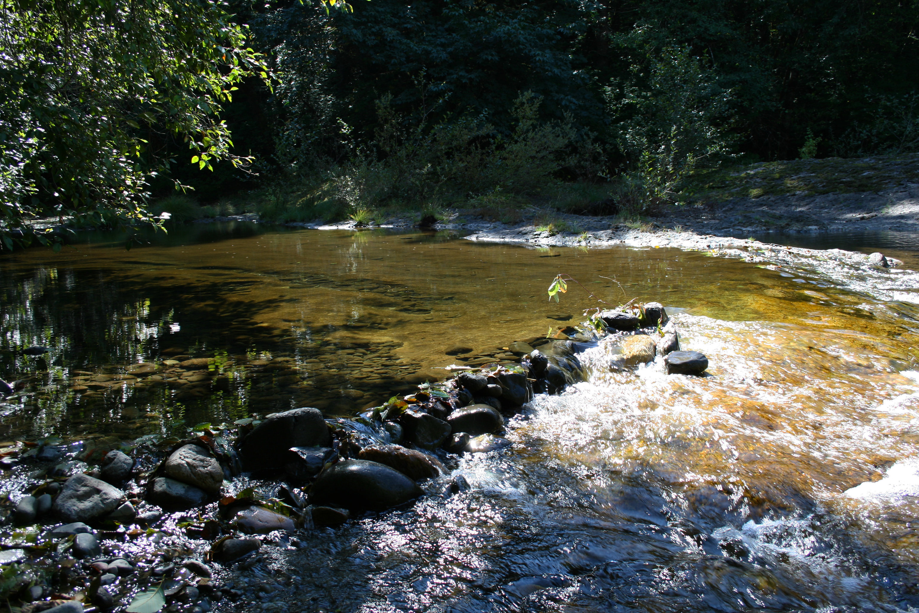 Rock Creek Recreation Site photo 2