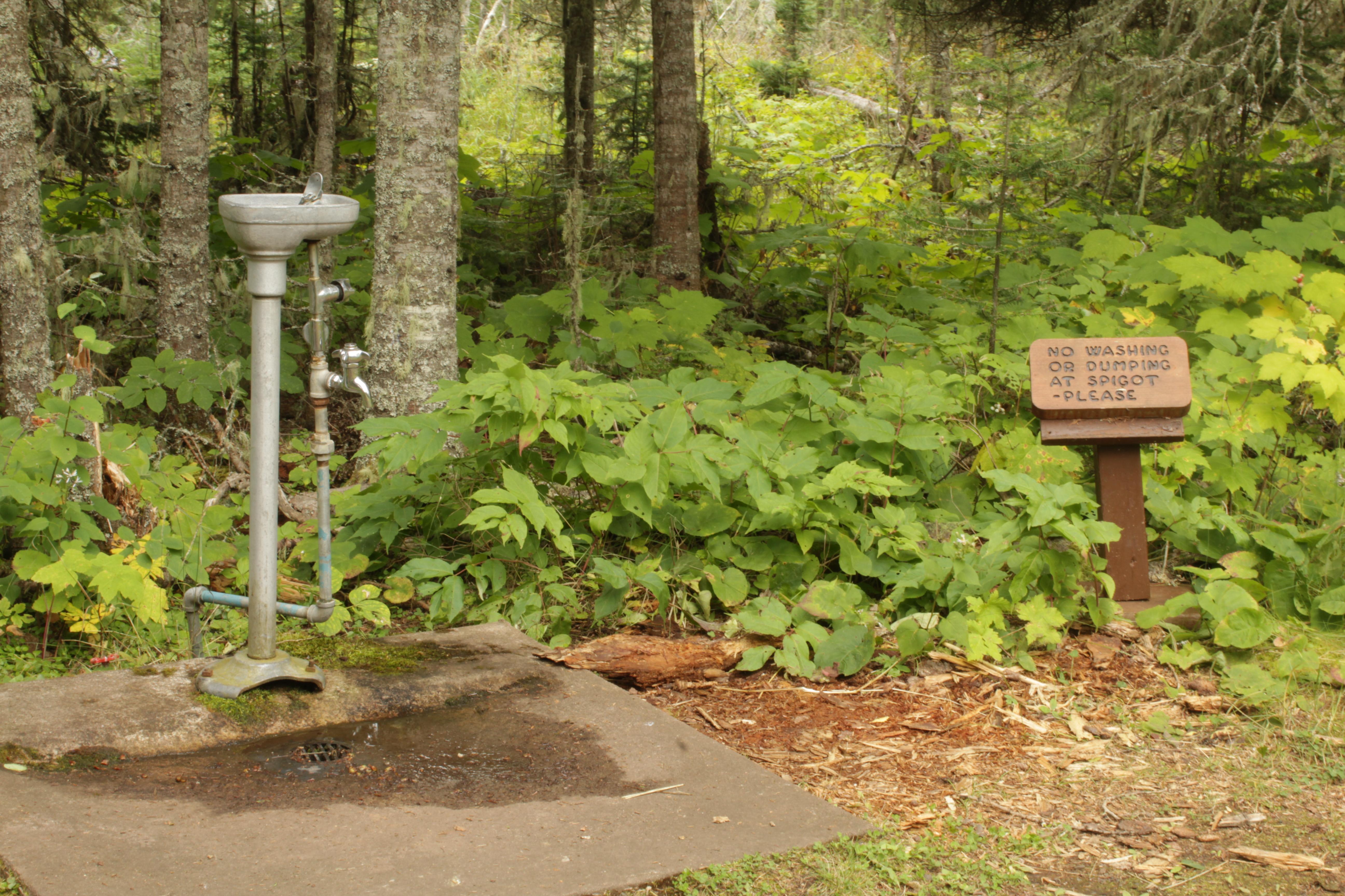Rock Harbor Campground photo 3