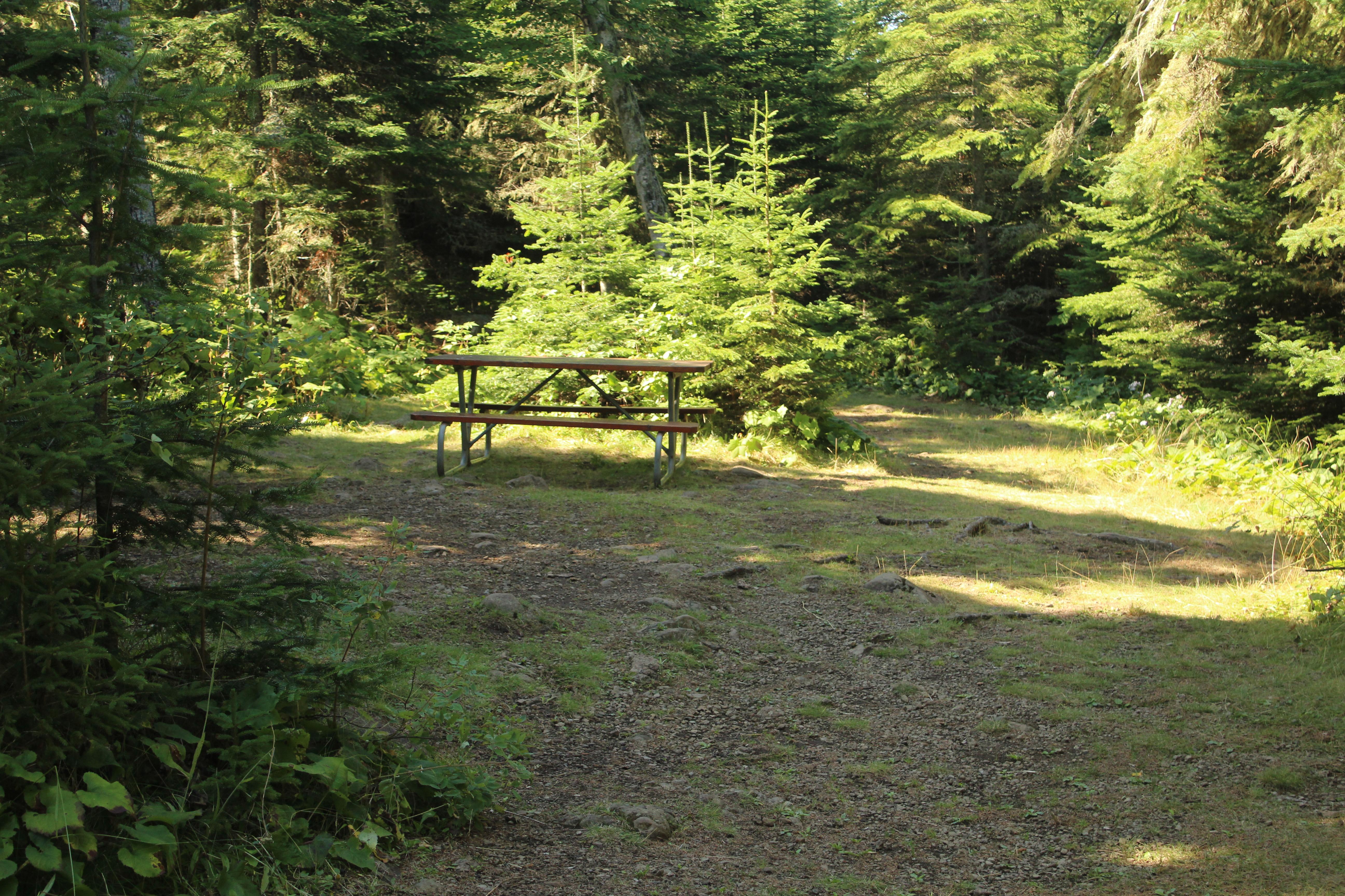 Rock Harbor Campground photo 4