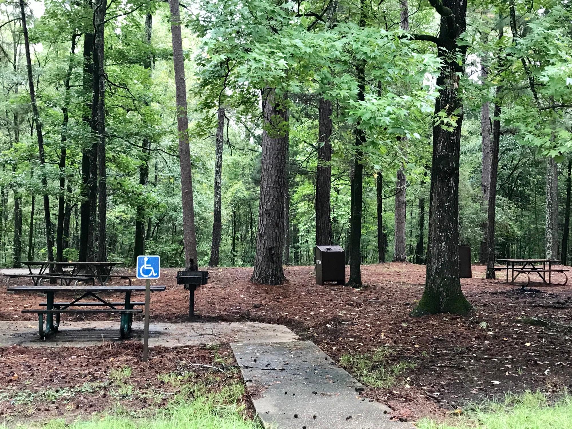 Rocky Springs Campground, Milepost 54.8 photo 2