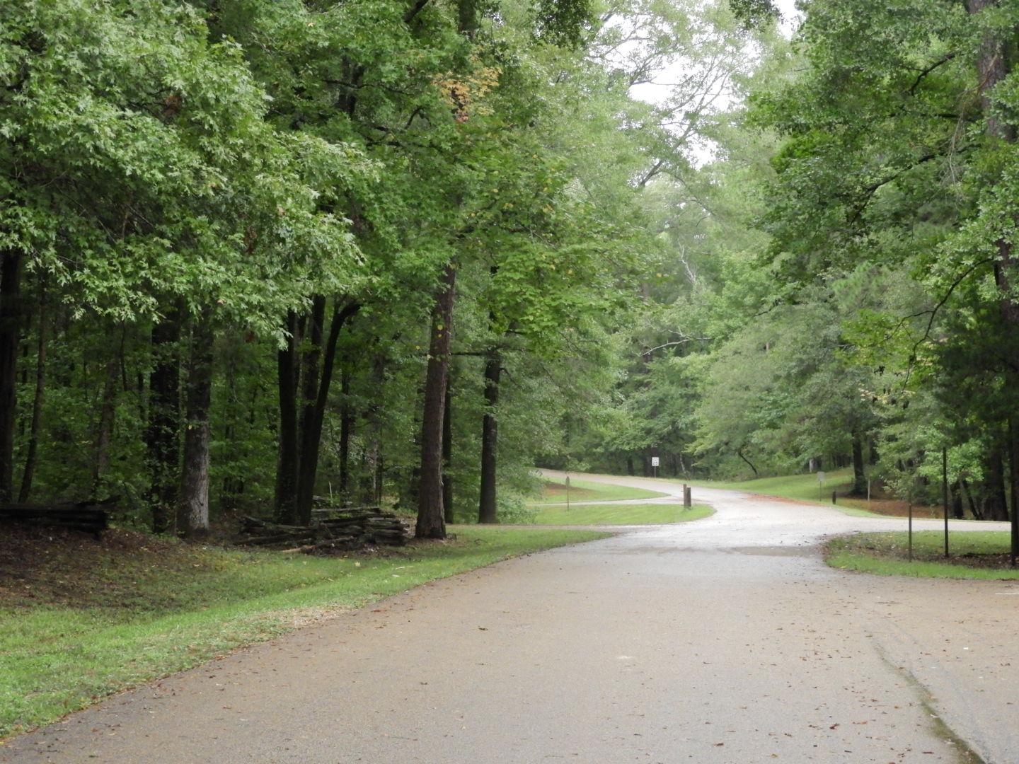 Rocky Springs Campground, Milepost 54.8 photo 4