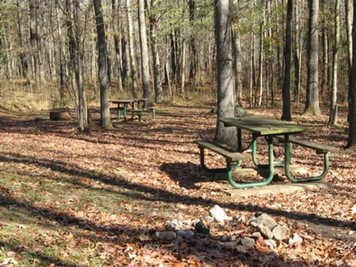 Rocky Springs Campground, Milepost 54.8 photo 5