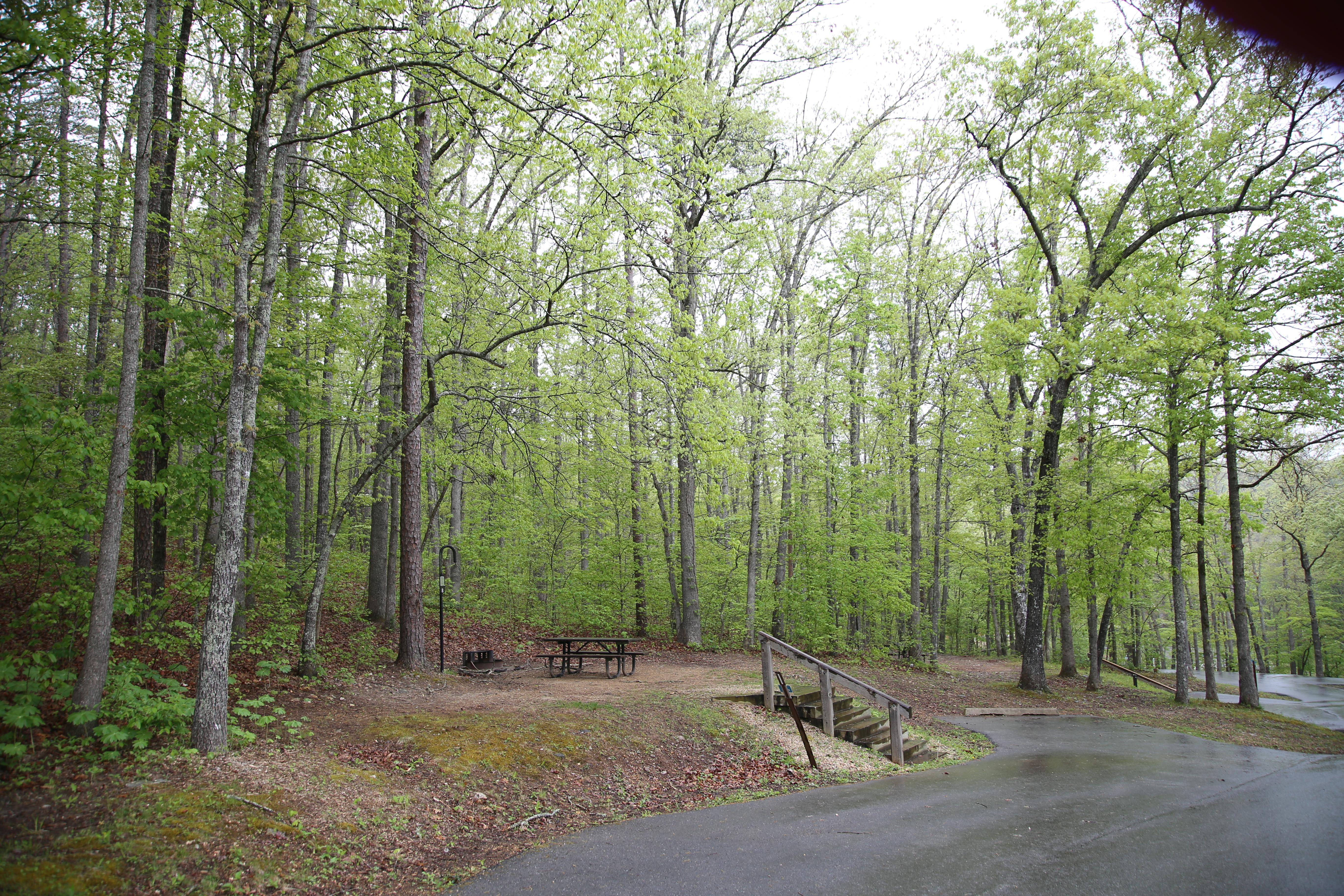 Round Spring Ranger Station photo 2