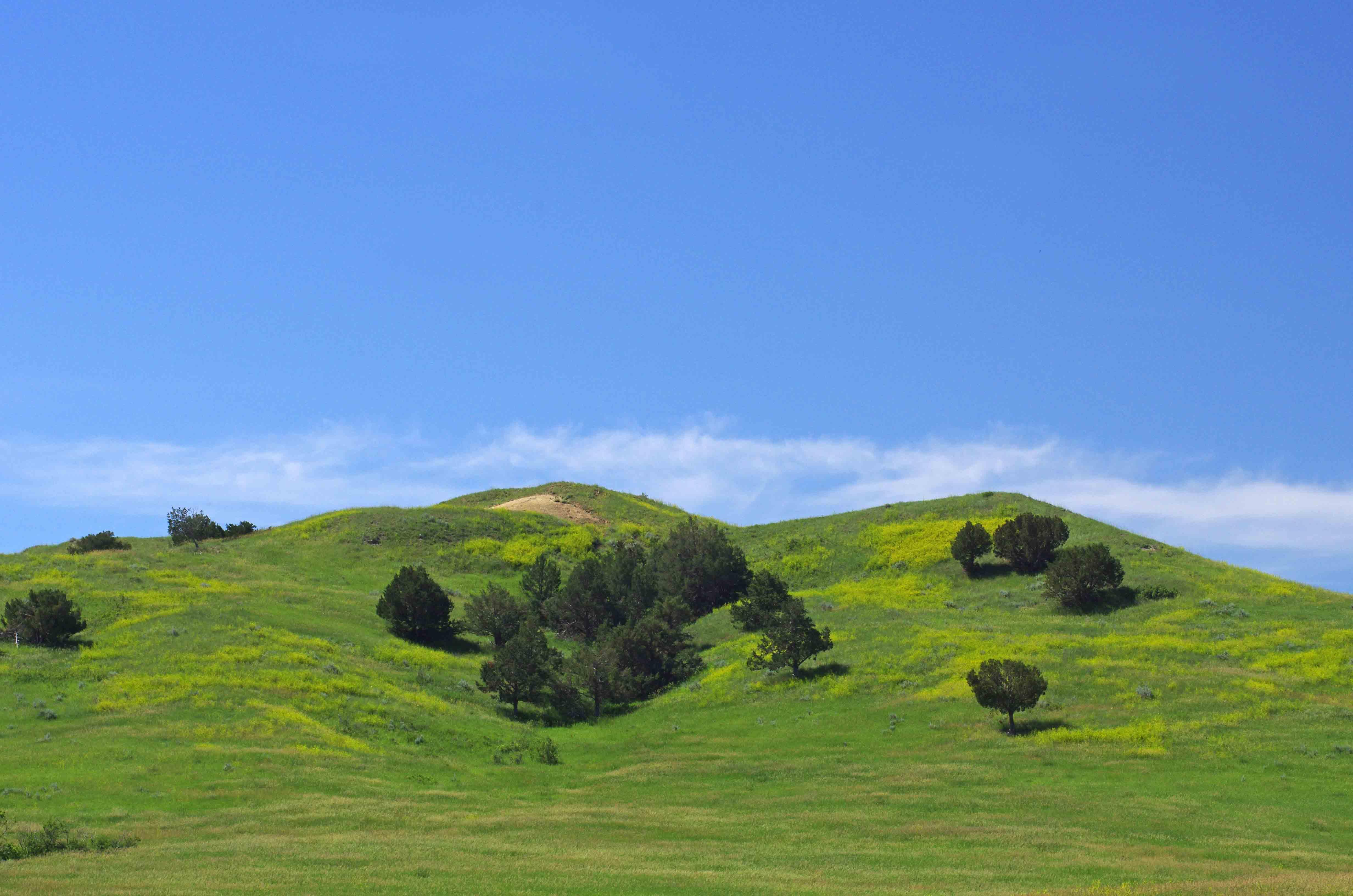 Sage Creek Campground photo