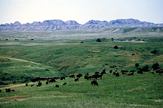 Sage Creek Campground photo 5