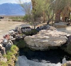 Saline Valley Campground (Primitive) photo 4
