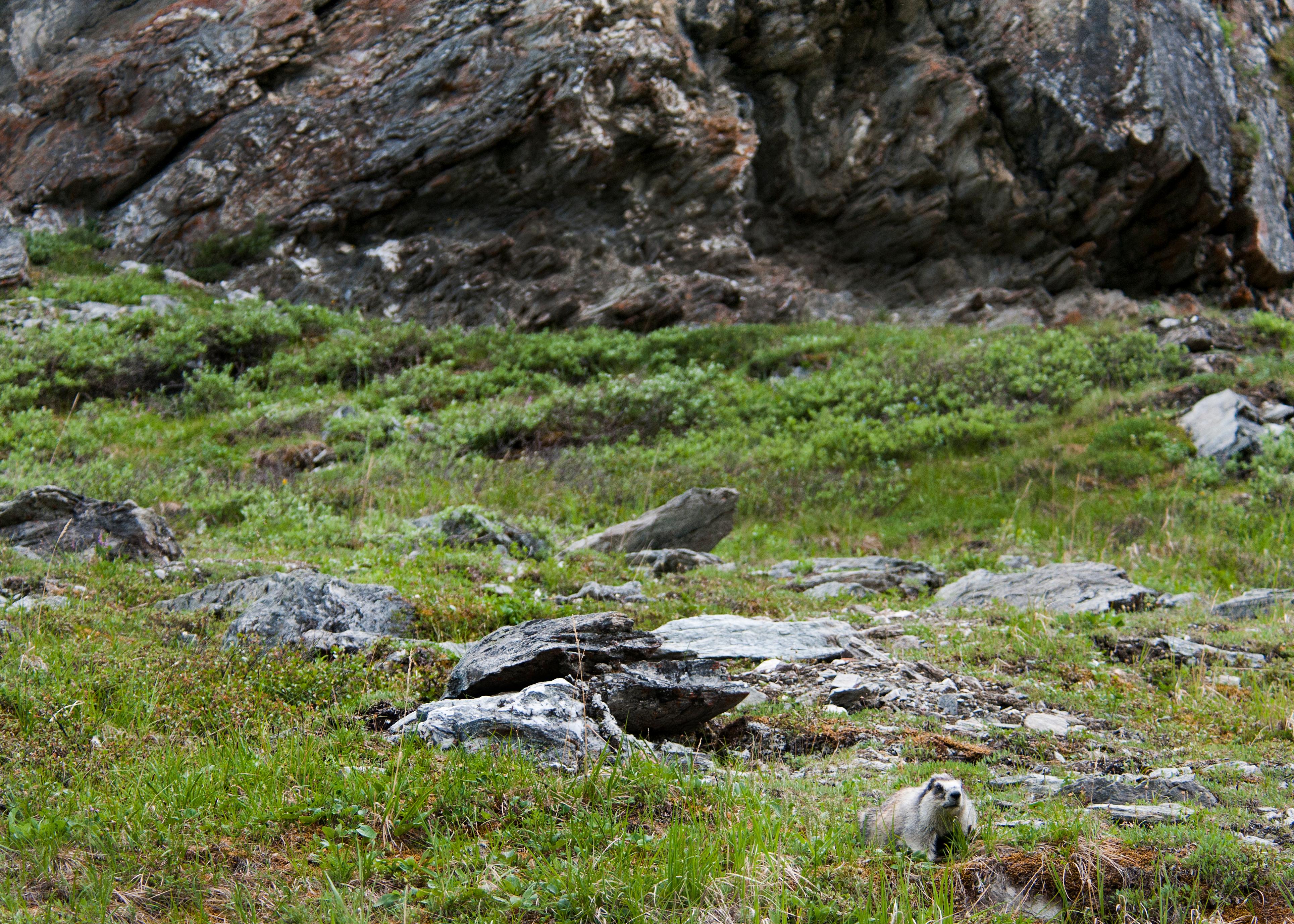 Savage River photo 3