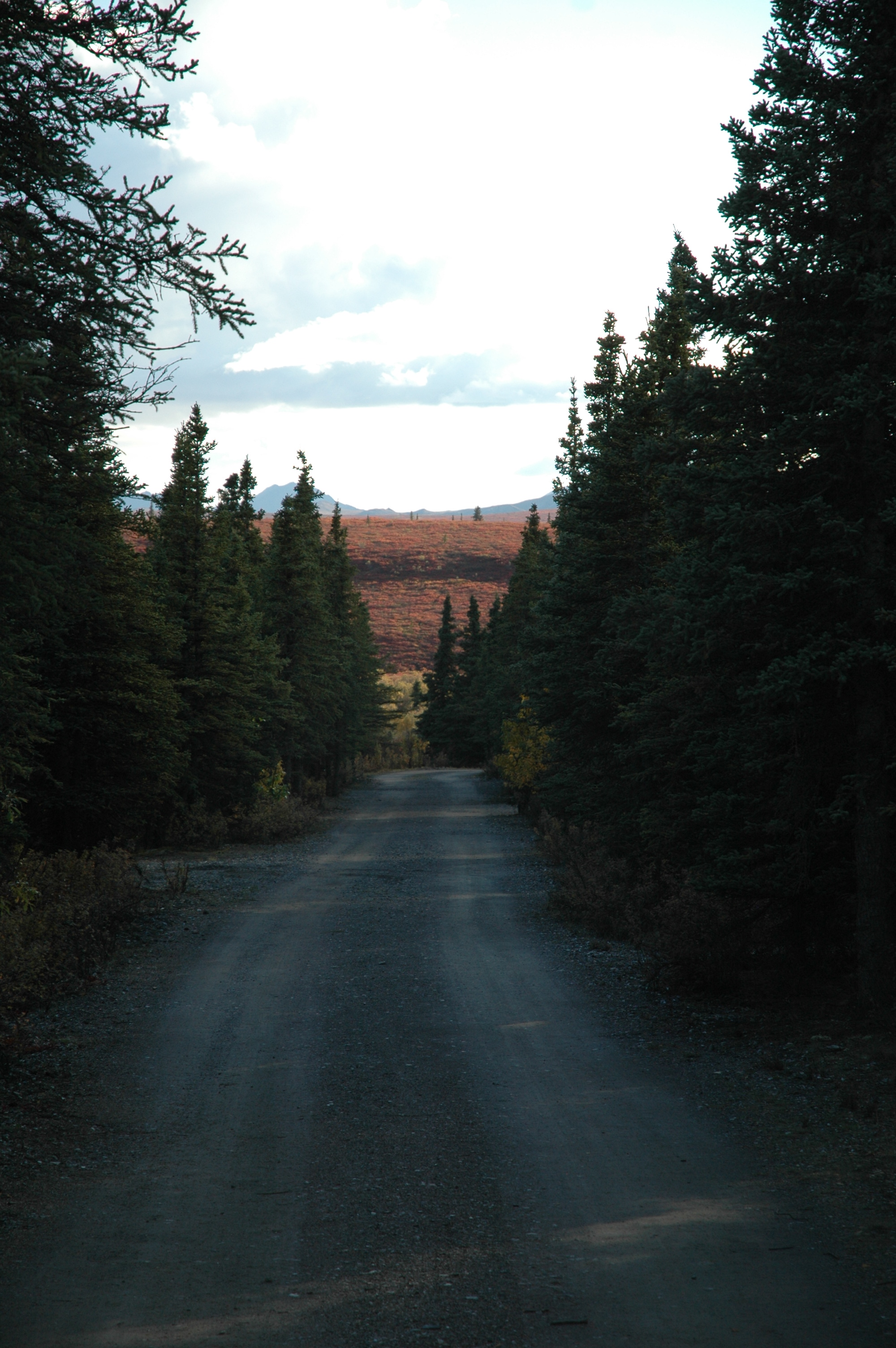 Savage River photo 4