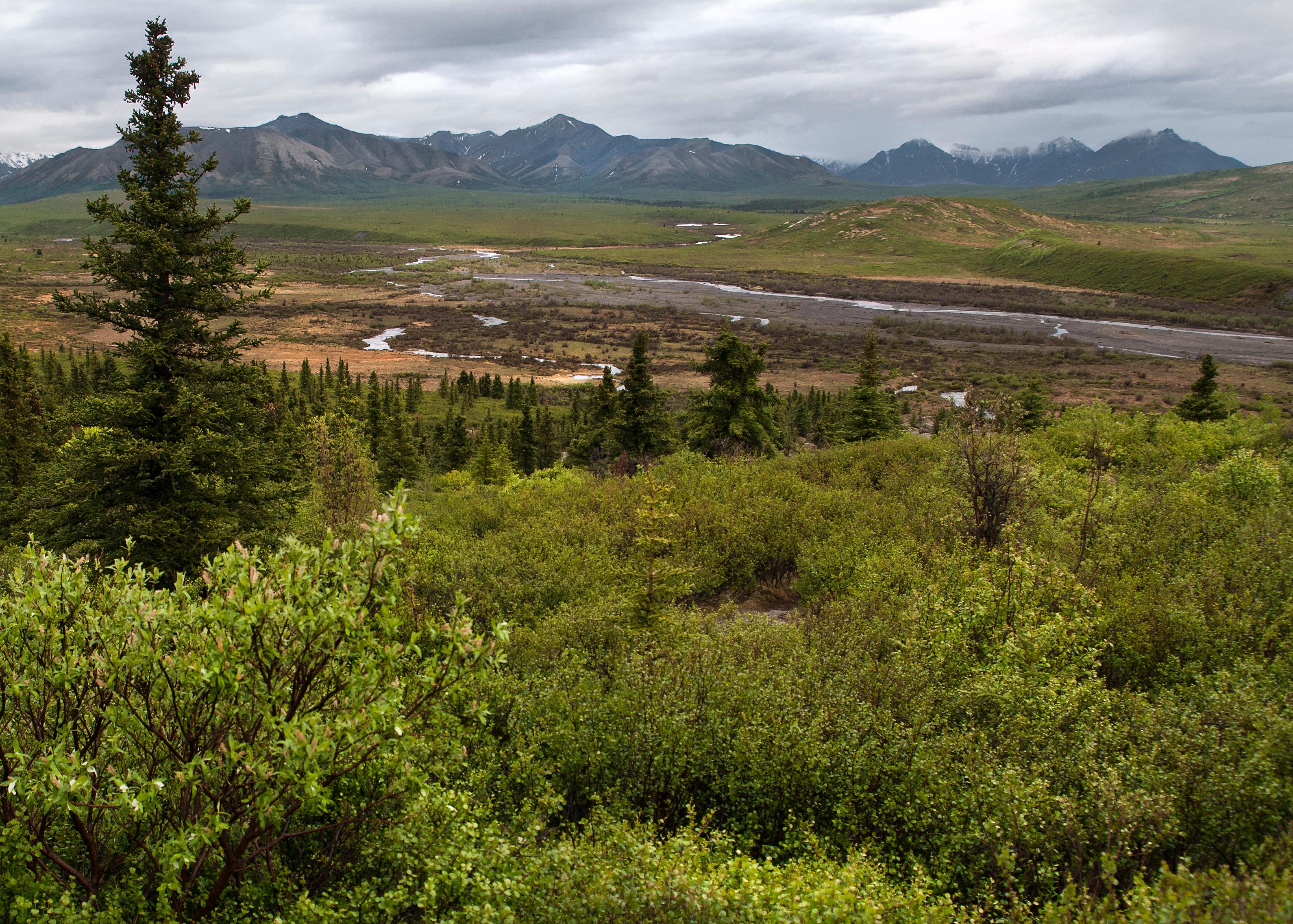 Savage River photo 5