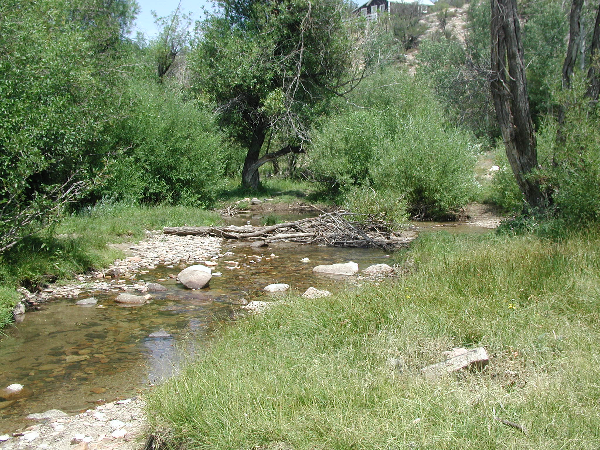 Silver City Campground photo 2