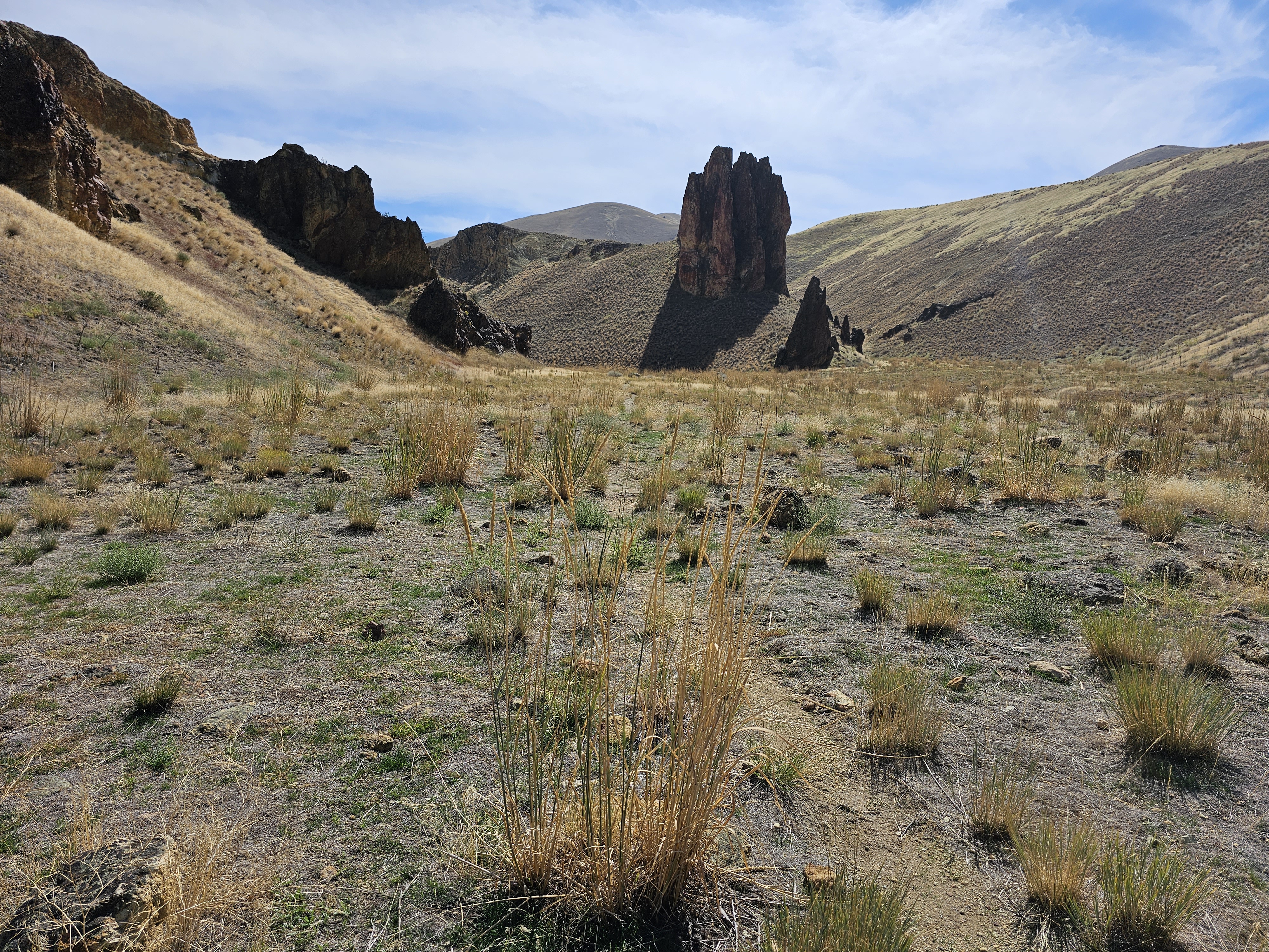 Slocum Creek Campground photo 3