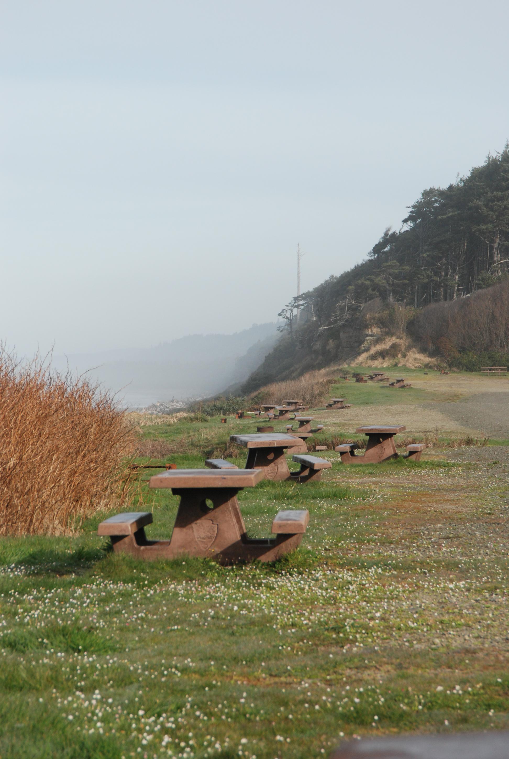 South Beach Campground photo