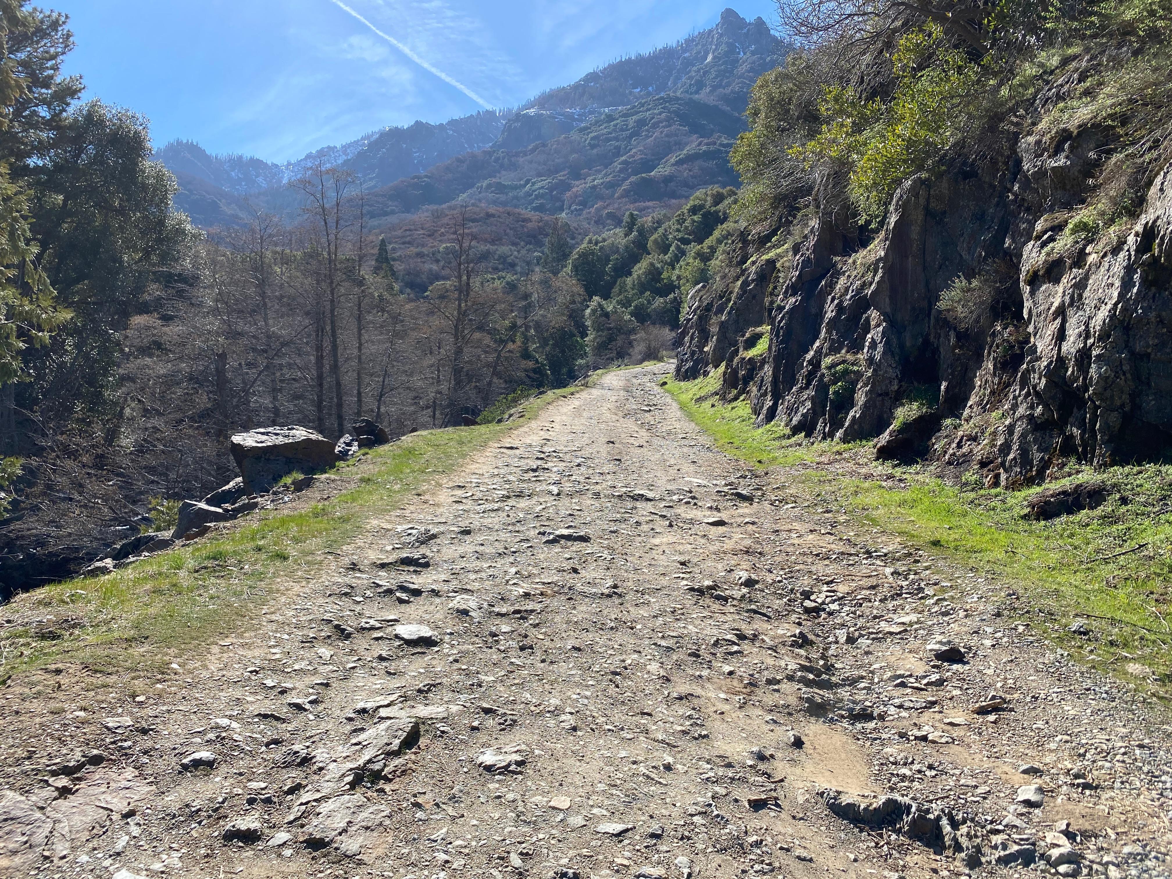 South Fork Campground photo