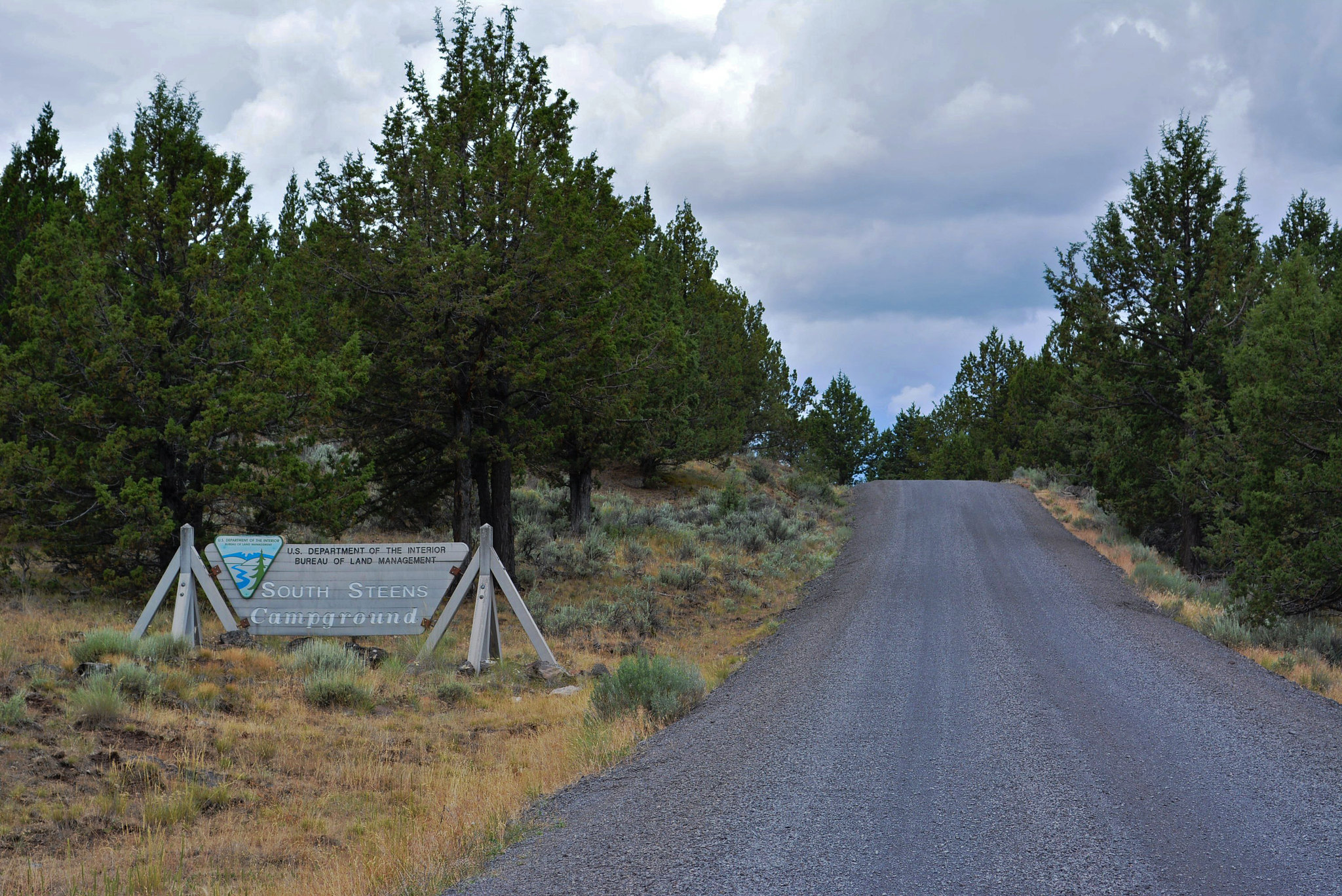 South Steens Campground photo