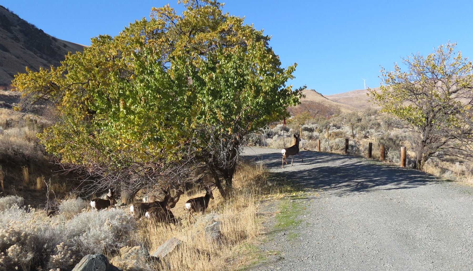 Spring Recreation Site photo