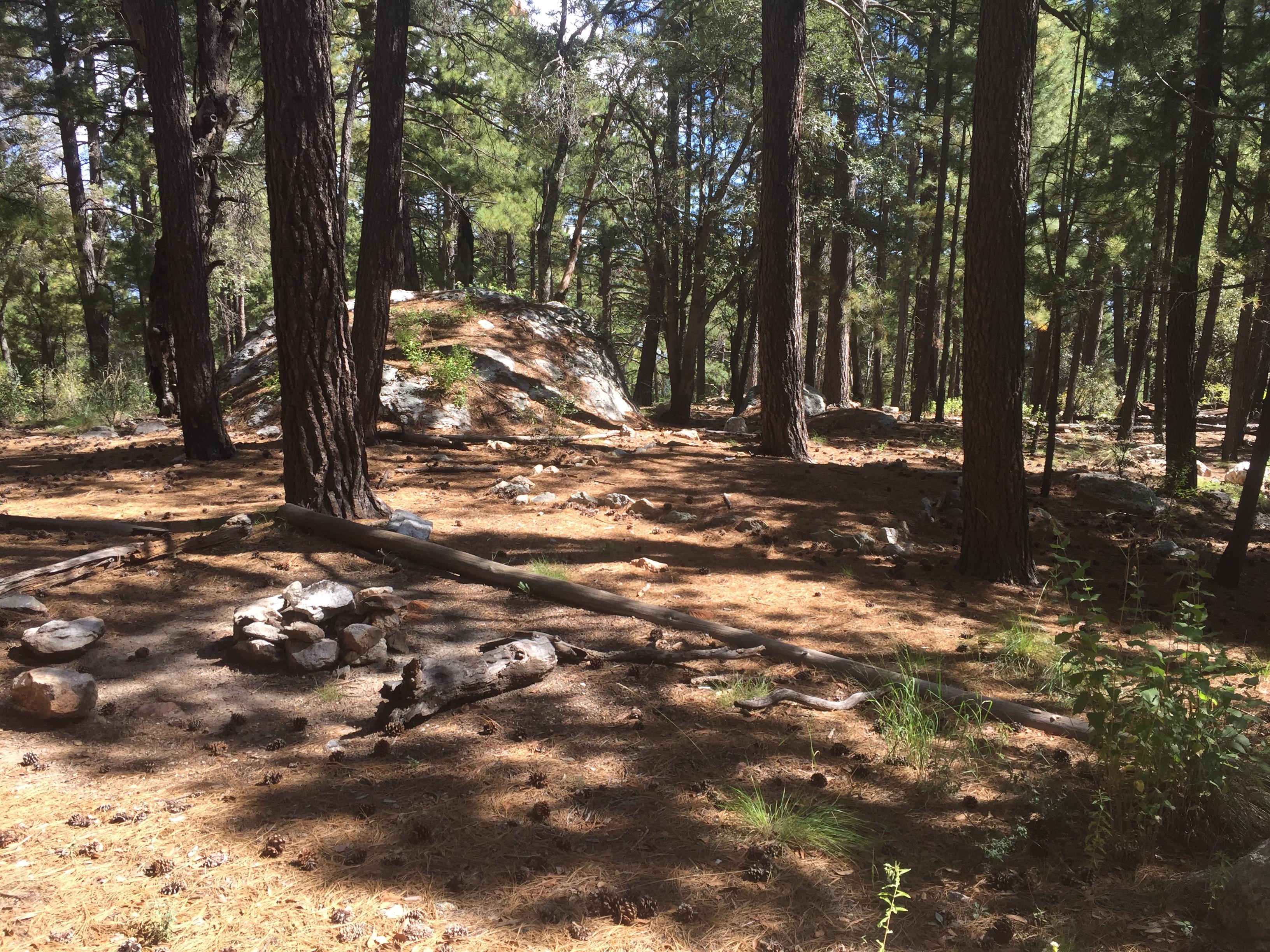 Spud Rock Spring photo