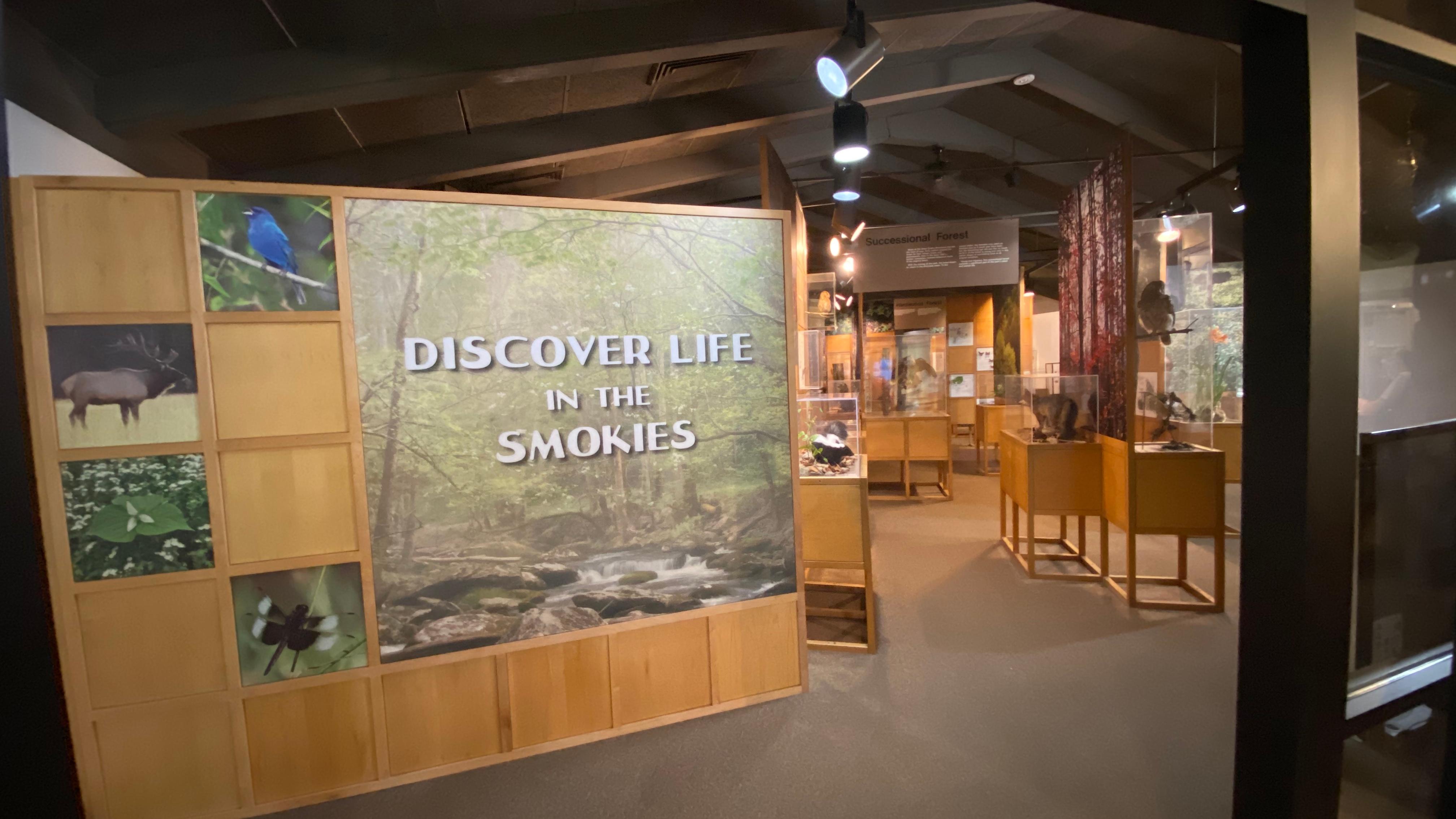 Sugarlands Visitor Center photo