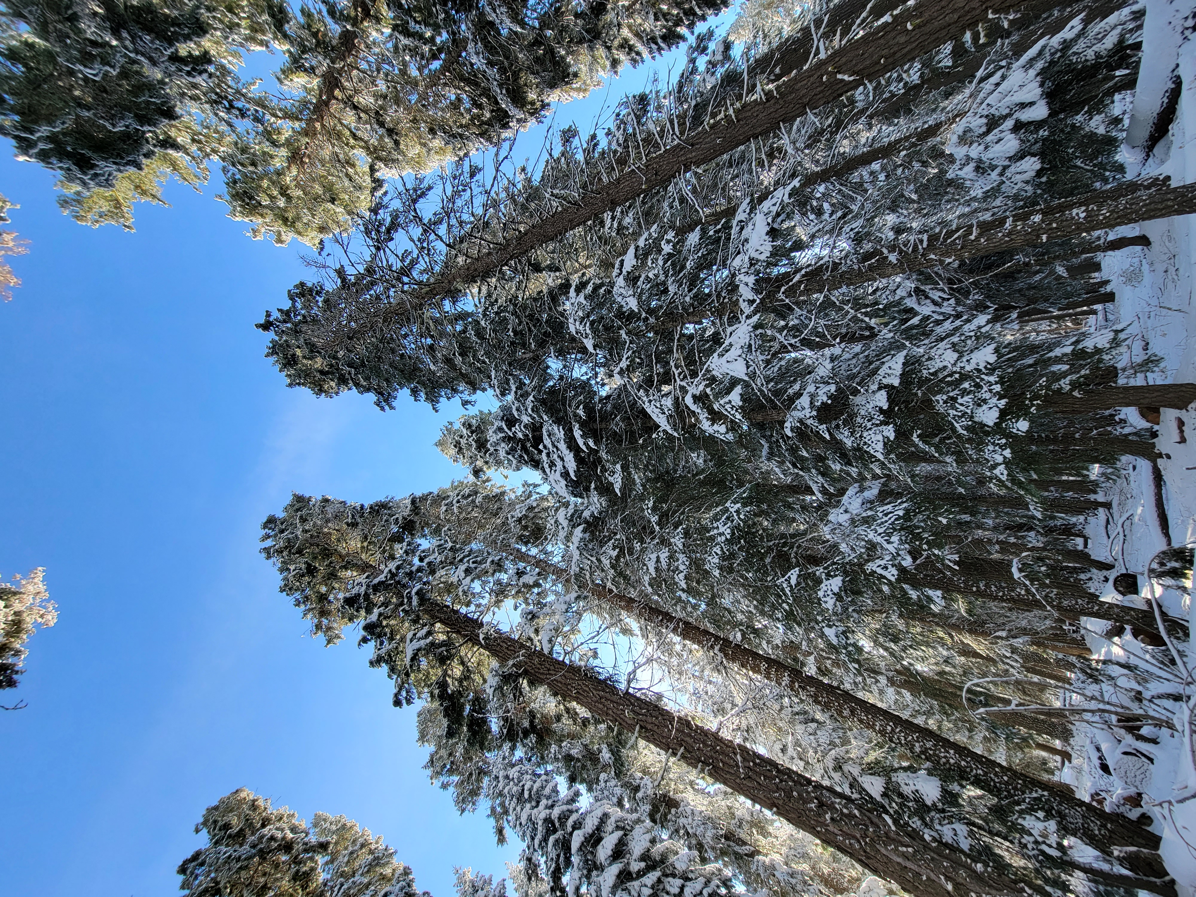 Surveyor Recreation Site photo 2