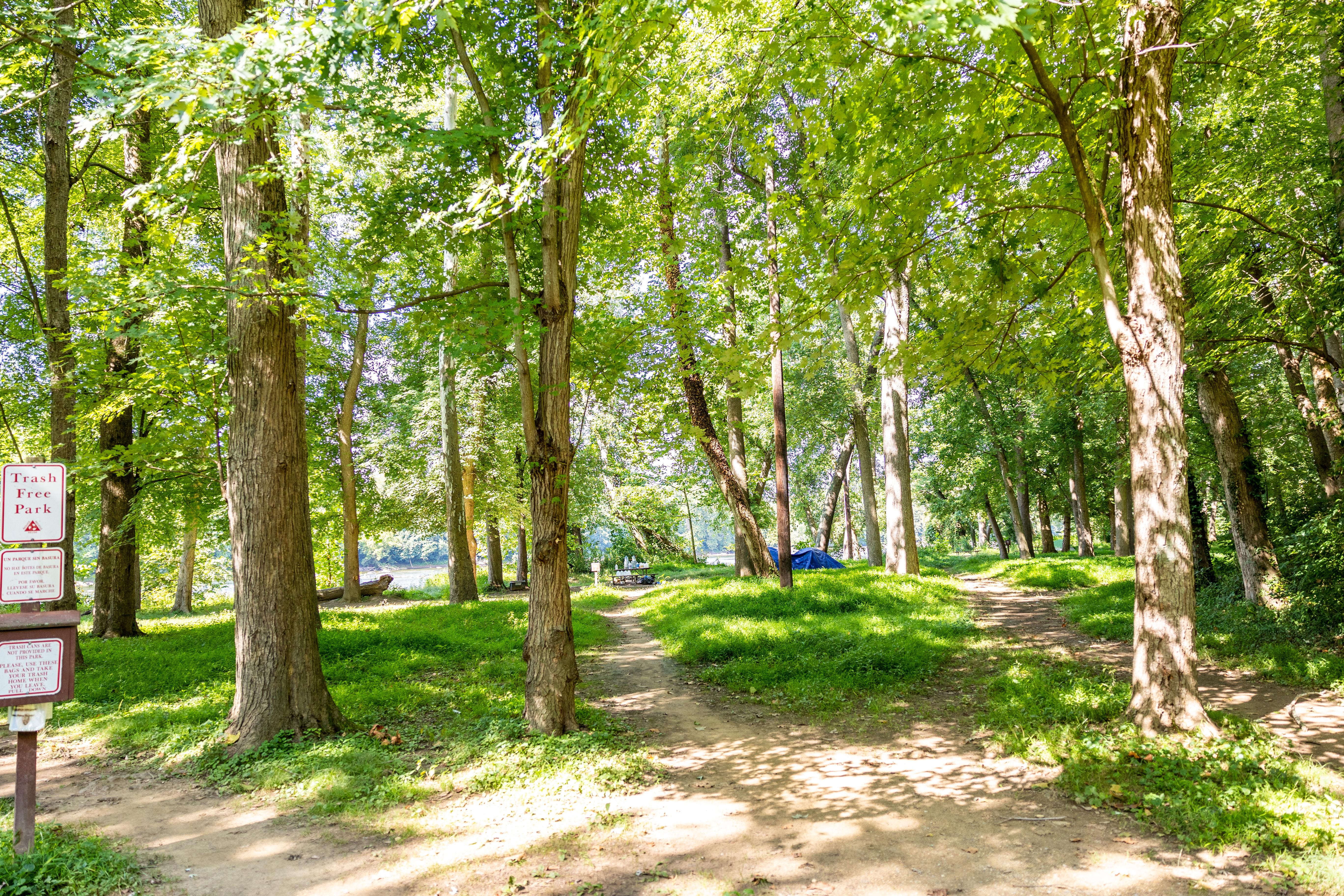Swains Lock Hiker-Biker Campsite photo