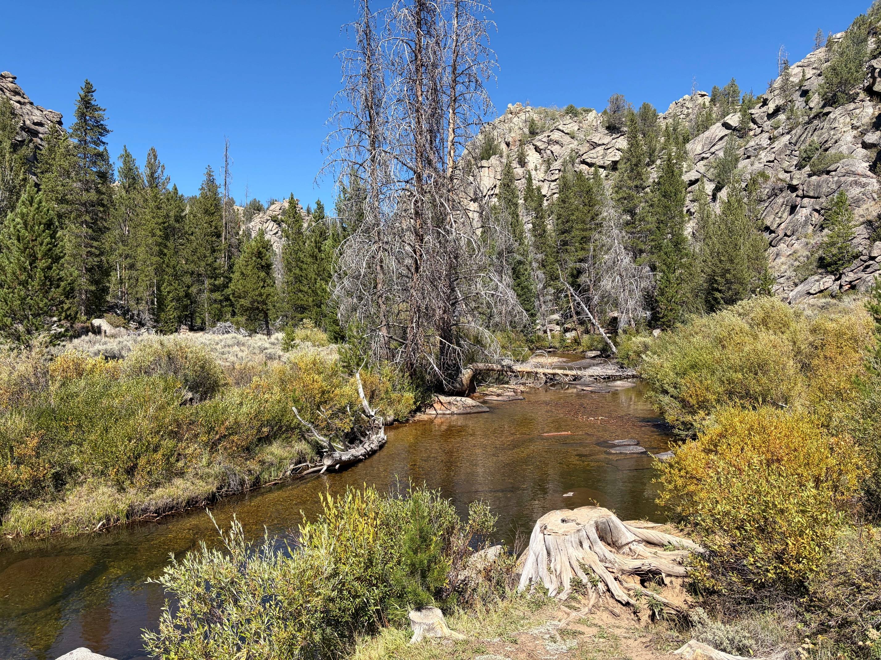 Sweetwater Bridge Campground photo