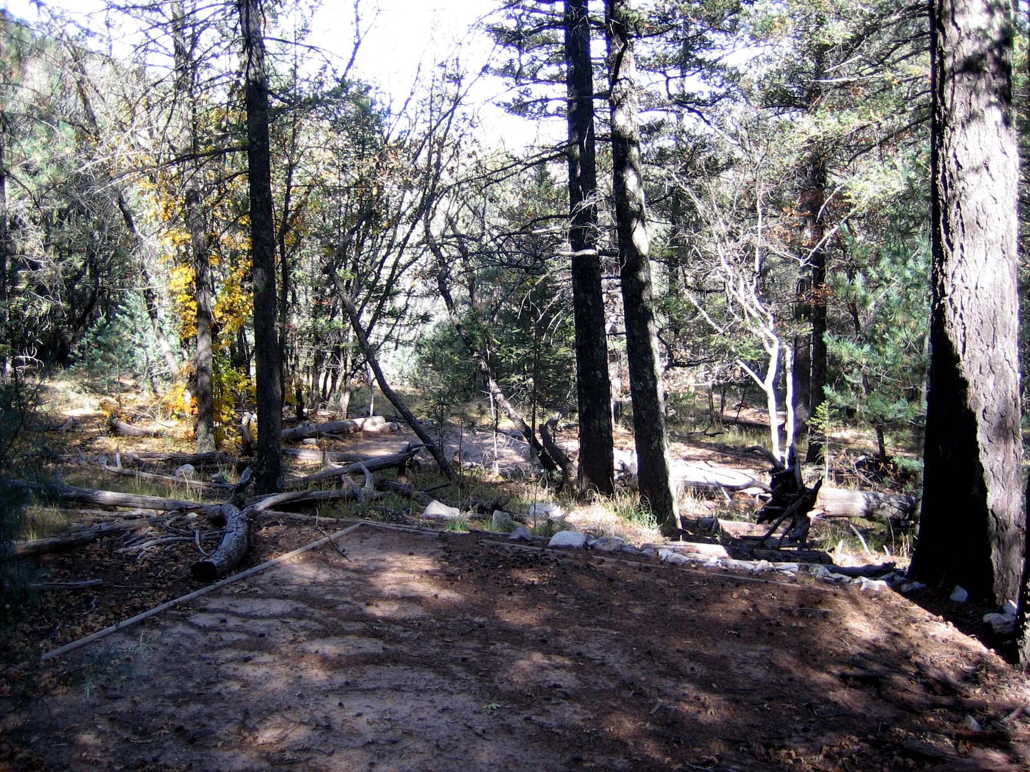 Tejas Wilderness Campground photo 4