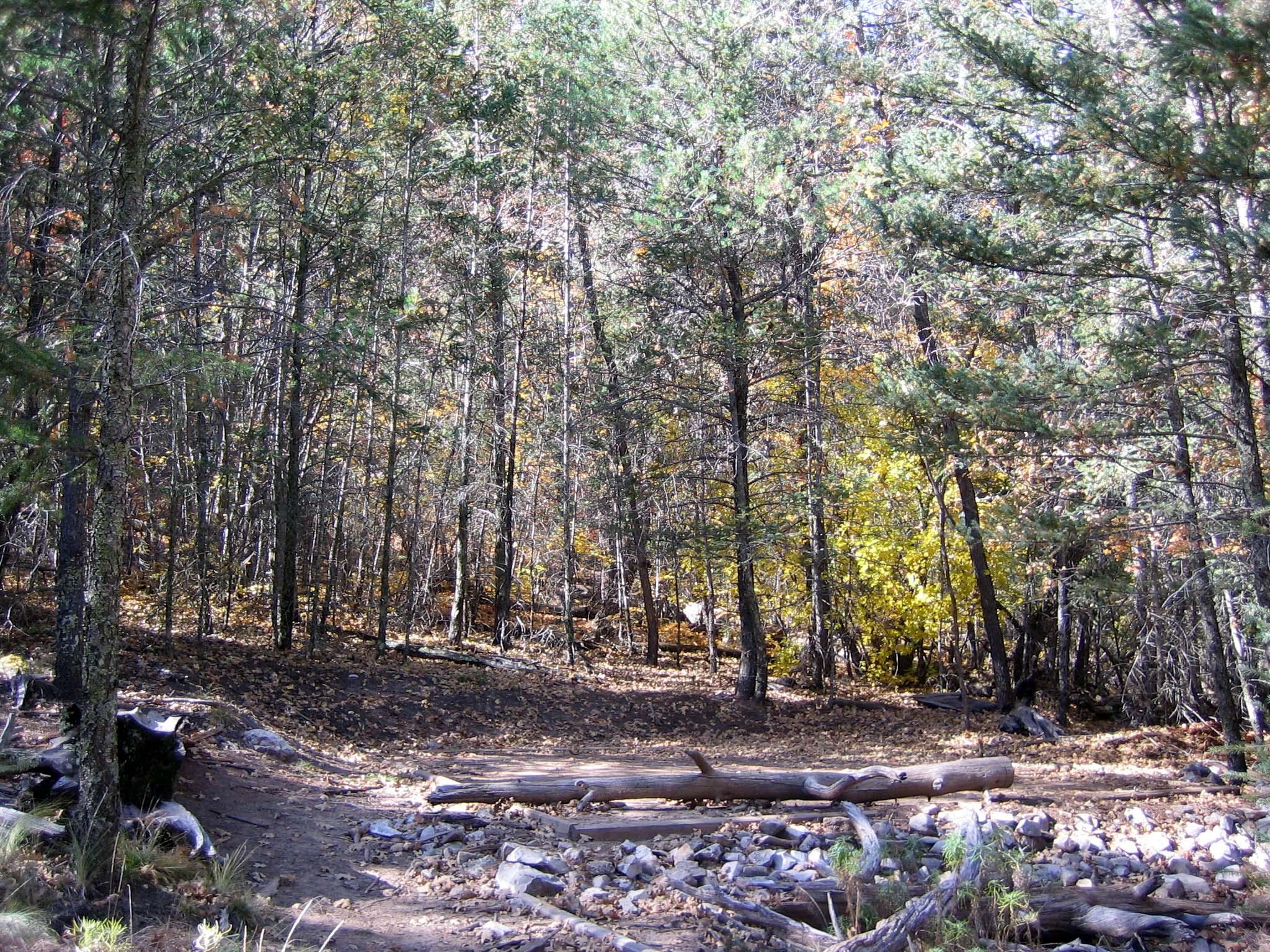 Tejas Wilderness Campground photo 2