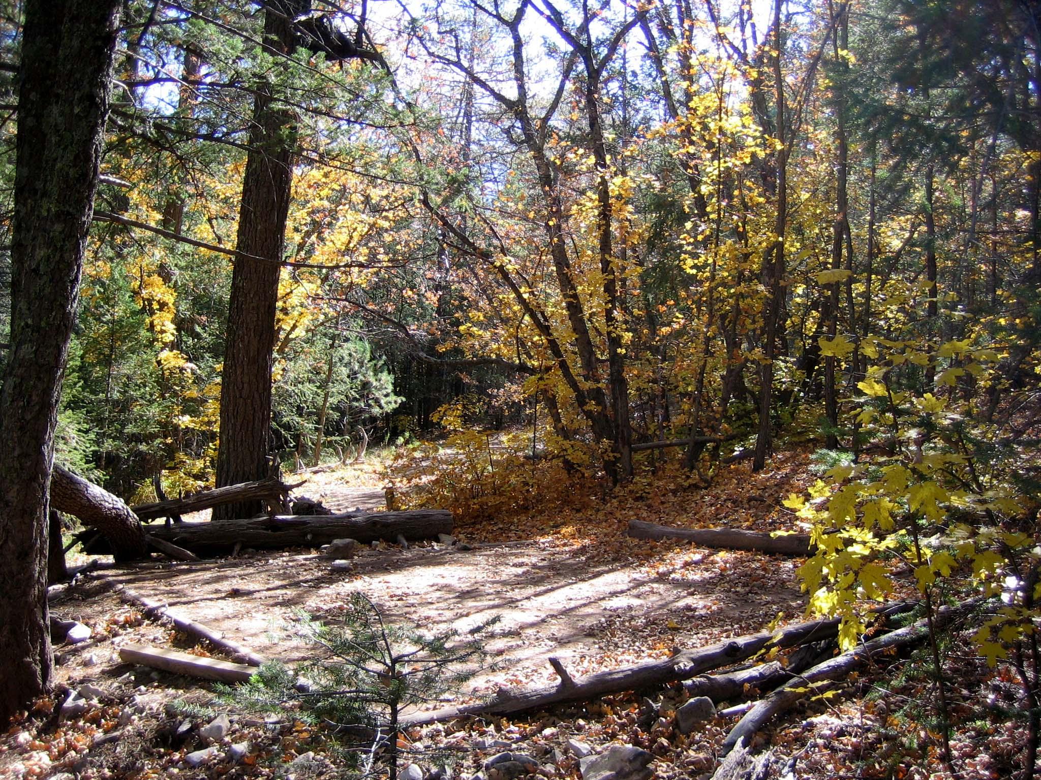 Tejas Wilderness Campground photo 3