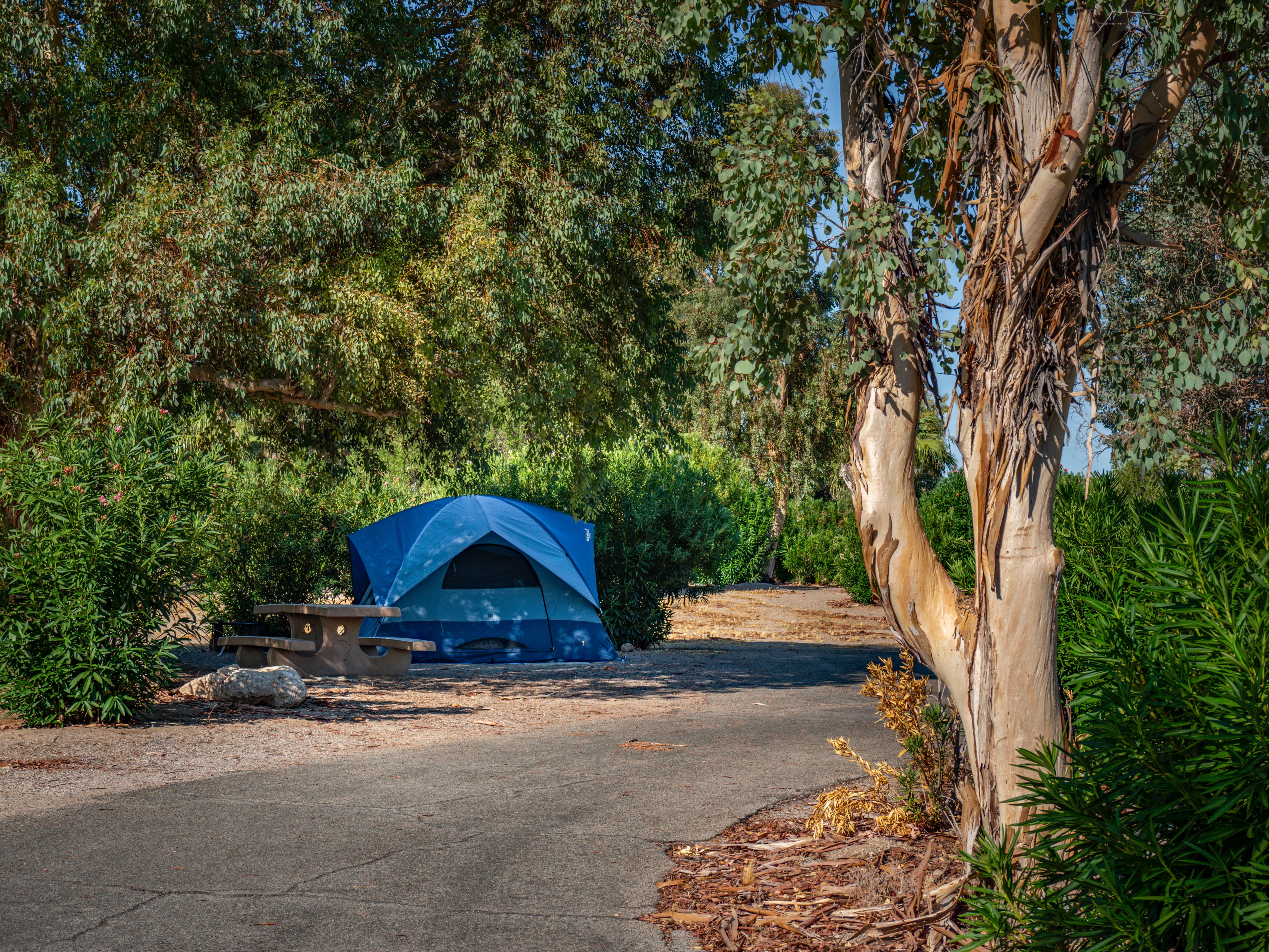Temple Bar Campground photo